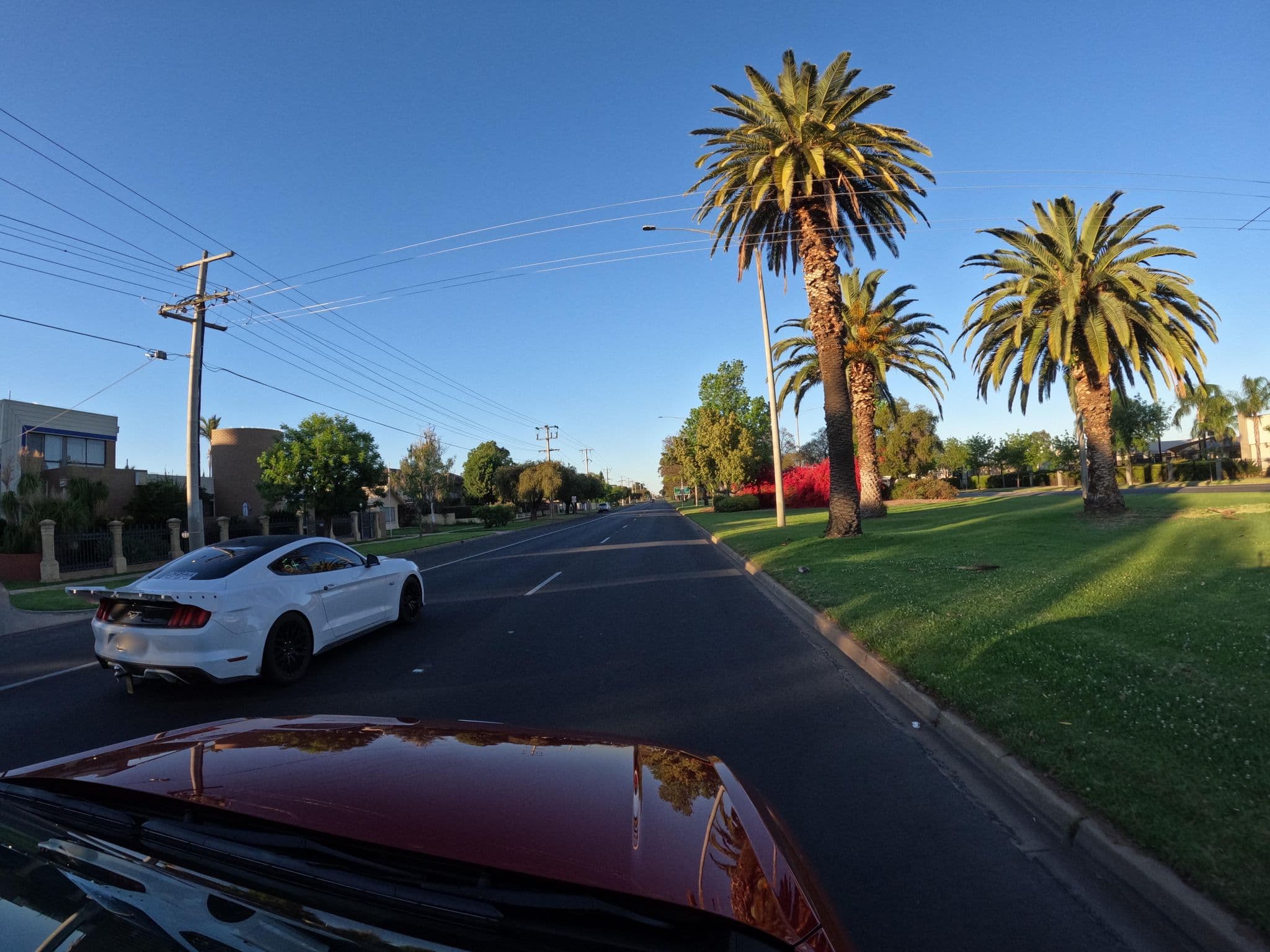Street view near Mildura Motor Inn, Mildura — © skillsy (CC BY-SA · Mapillary)