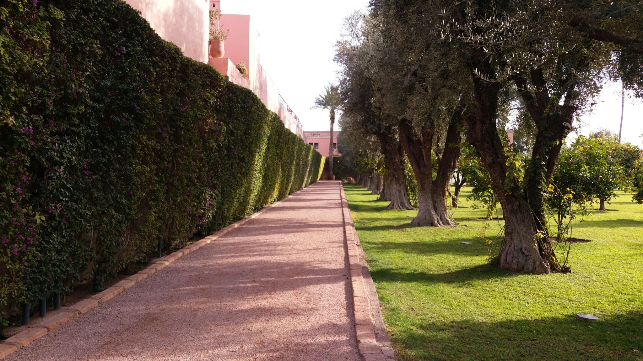 Street view near Riad el Az, Marrakesh