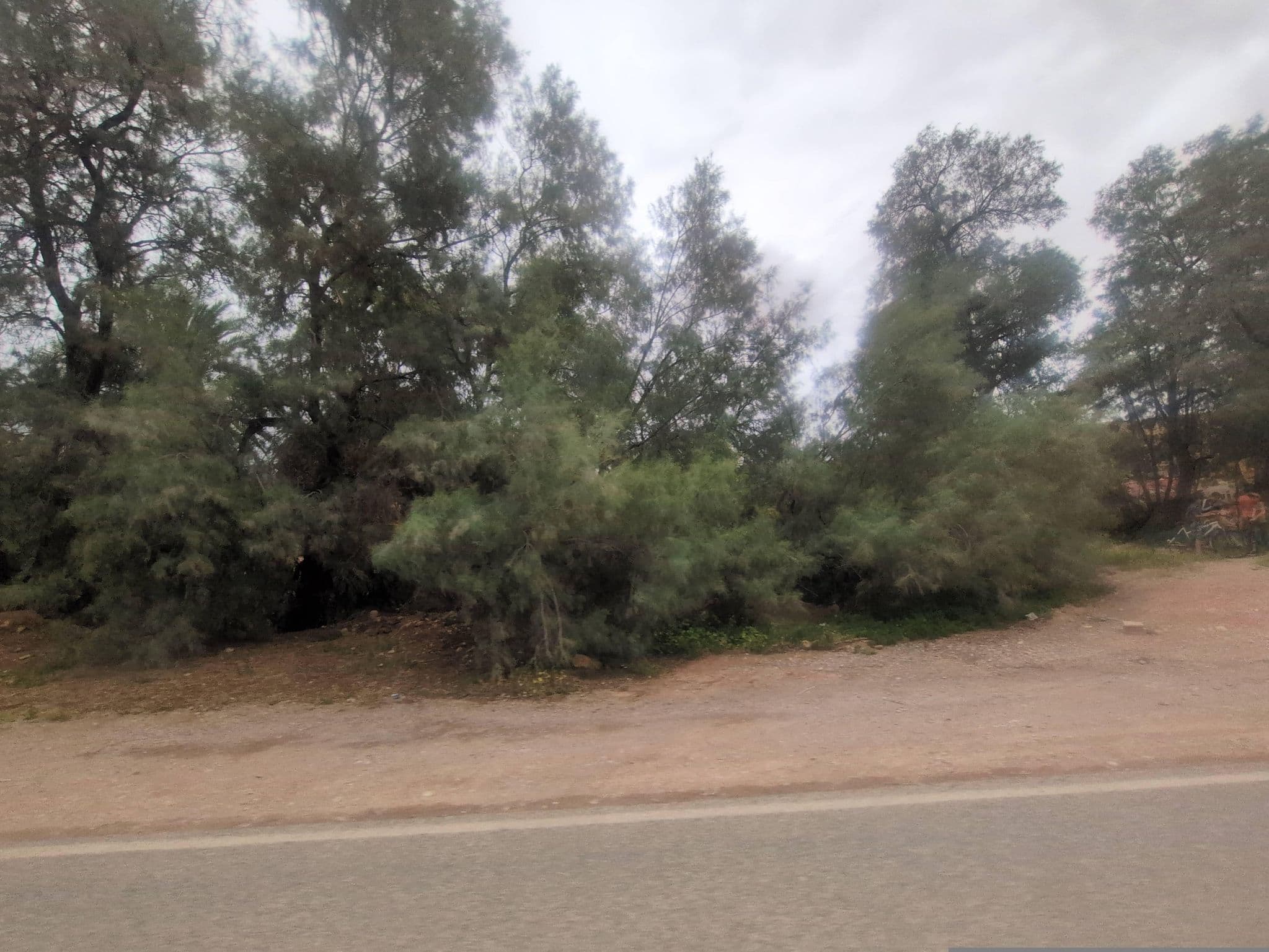 Street view near Camp Hôtel Azlag, Tinghir — © jamesmstone (CC BY-SA · Mapillary)
