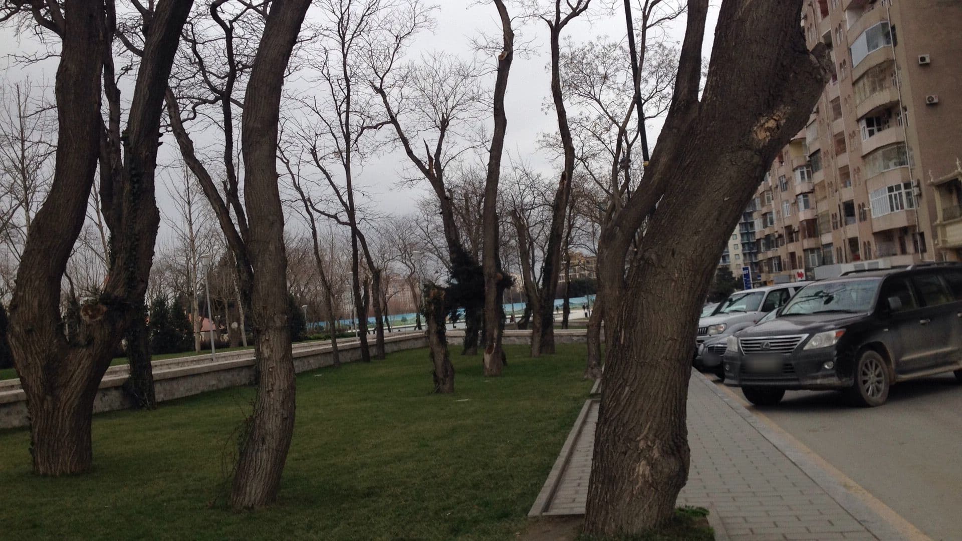 Street view near Kirayə Mənzil İraq, Baku — © geomapper69 (CC BY-SA · Mapillary)
