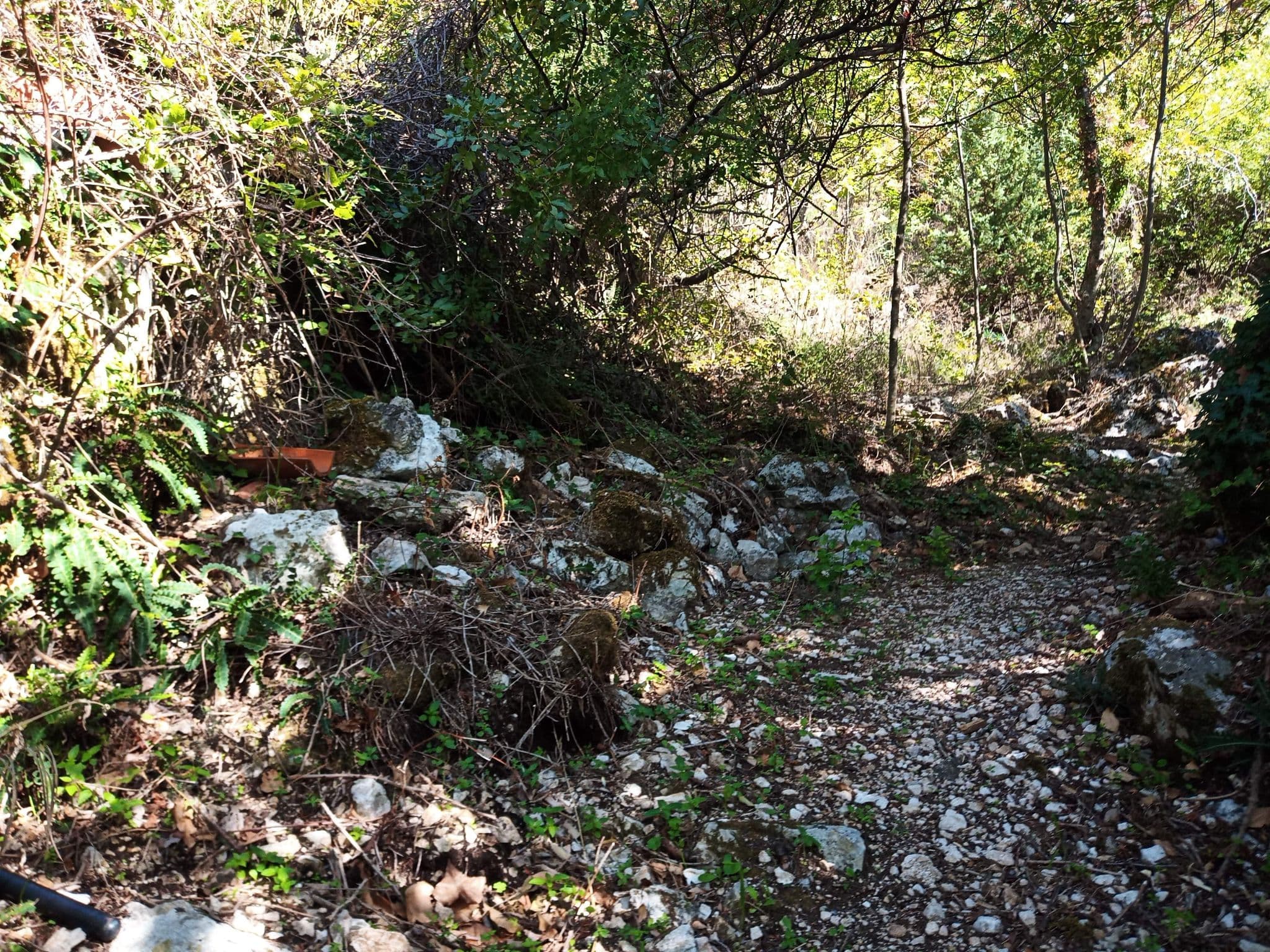 Street view near Adriatic Horizonte, Budva — © malexan (CC BY-SA · Mapillary)