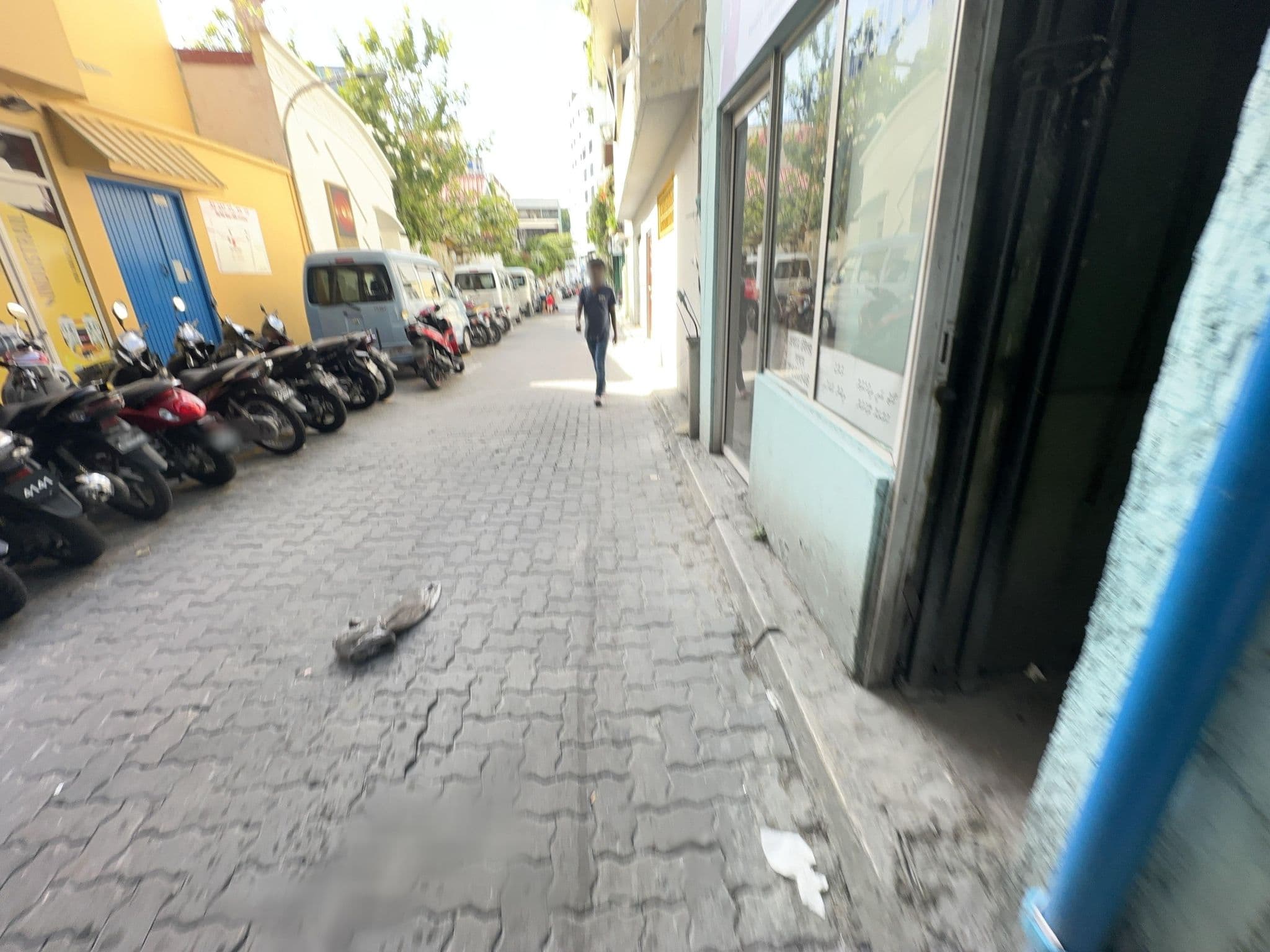 Street view near Sala Boutique Hotel, Male — © asturksever (CC BY-SA · Mapillary)