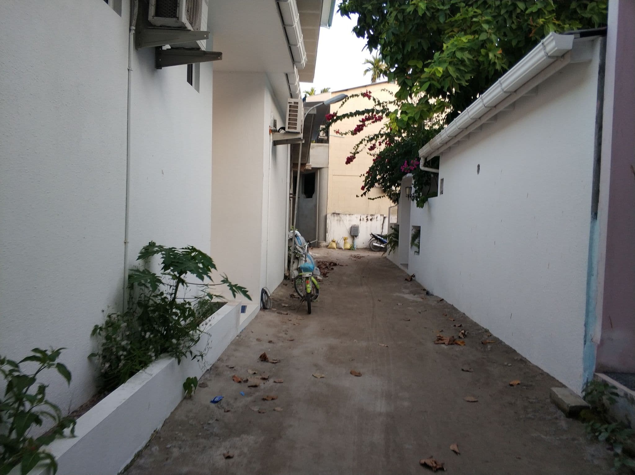 Street view near Serene Sky, Mahibadhoo