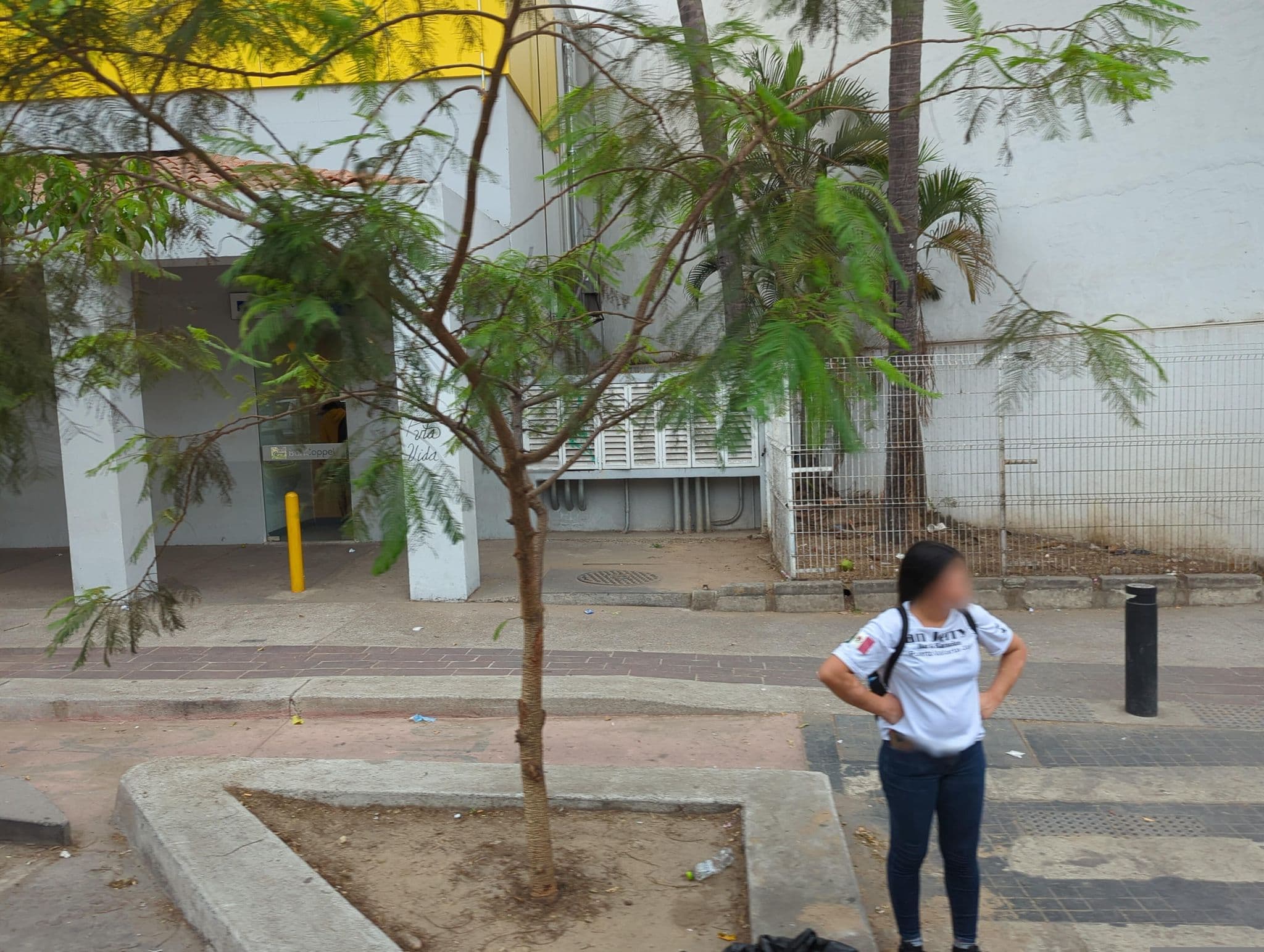 Street view near Mar Elena, Puerto Vallarta — © networklanman (CC BY-SA · Mapillary)