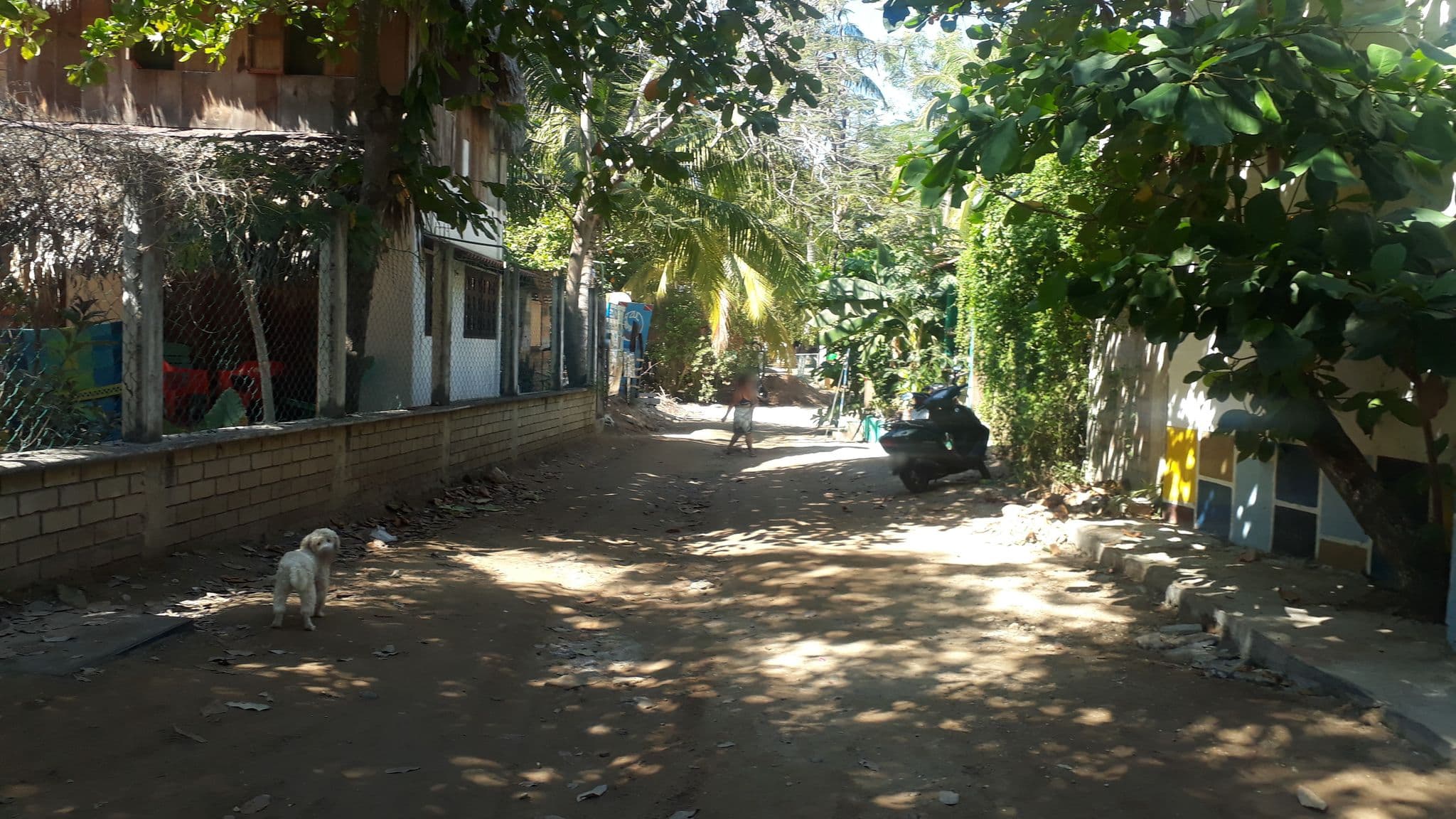Street view near Teresa, Puerto Ángel