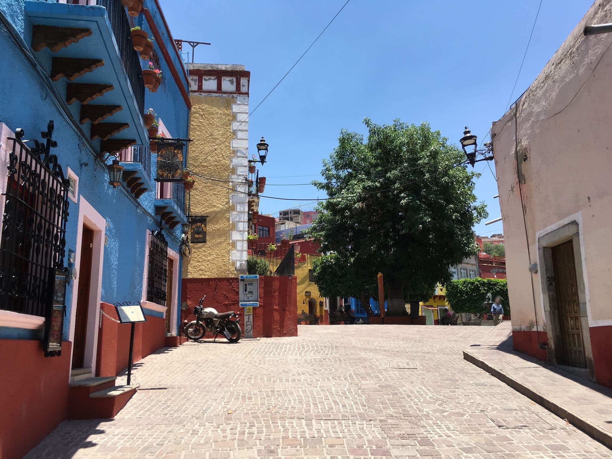 Street view near El Zopilote Mojado, Guanajuato — © brandonc (CC BY-SA · Mapillary)
