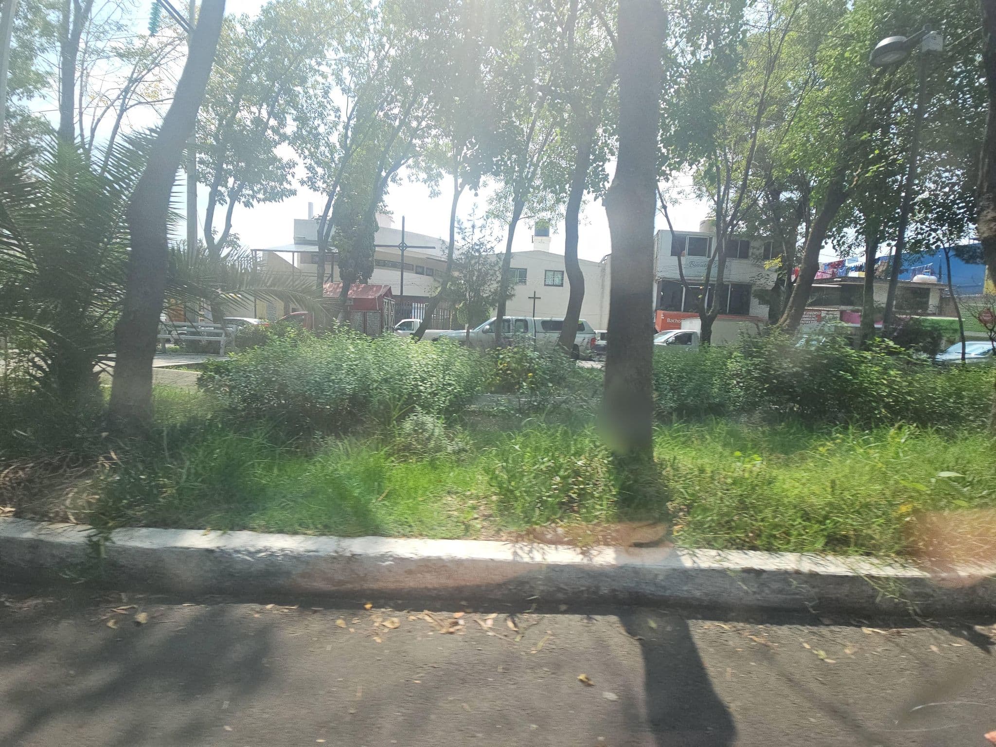 Street view near Casa, Tlalpan — © toebee (CC BY-SA · Mapillary)