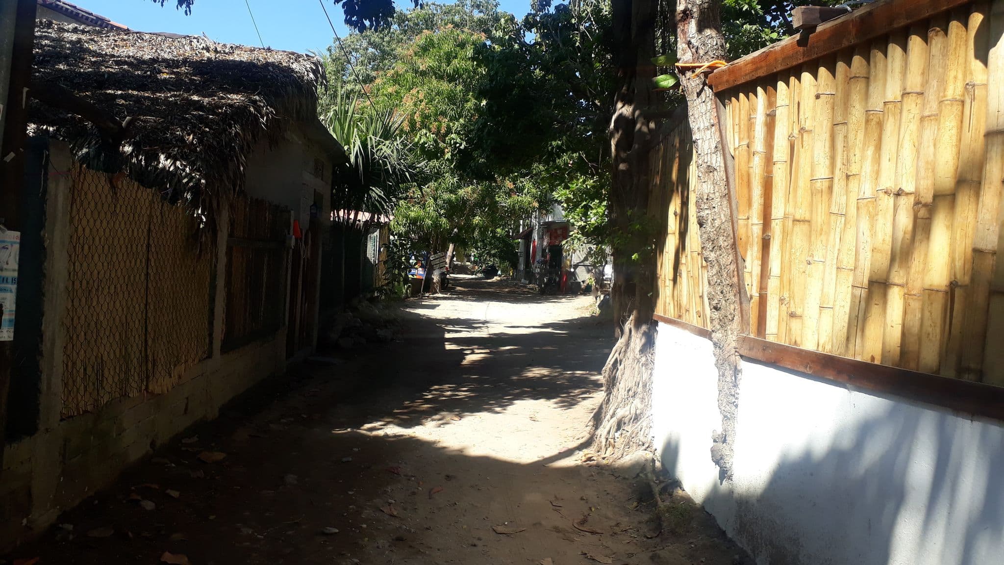 Street view near Posada Carey, Puerto Ángel