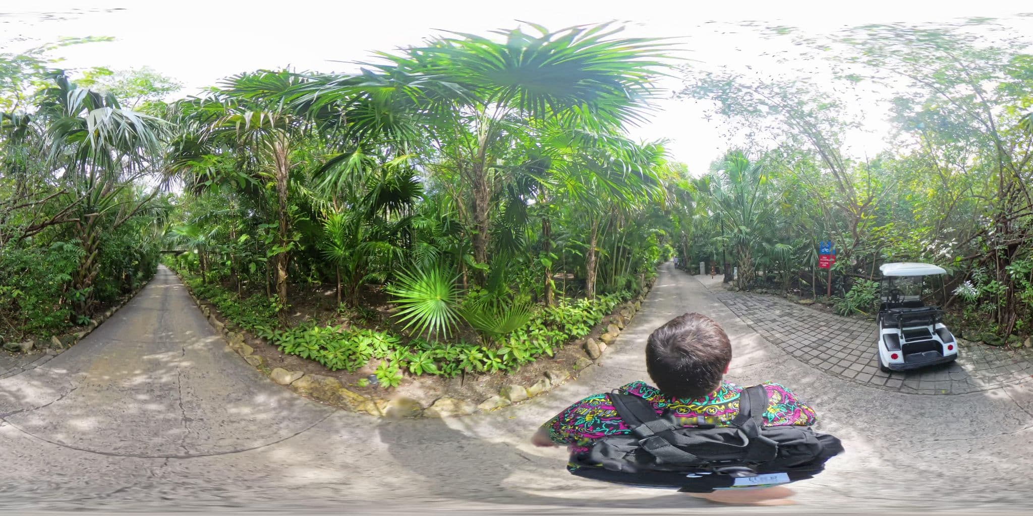Street view near 2, Playa del Carmen