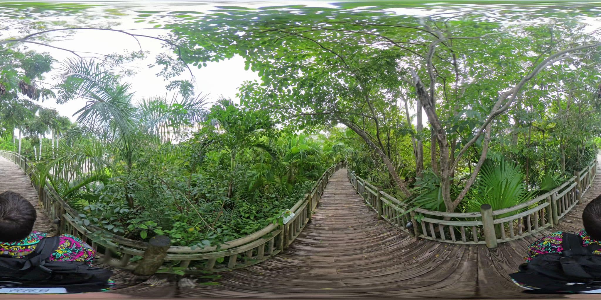 Street view near 9, Playa del Carmen