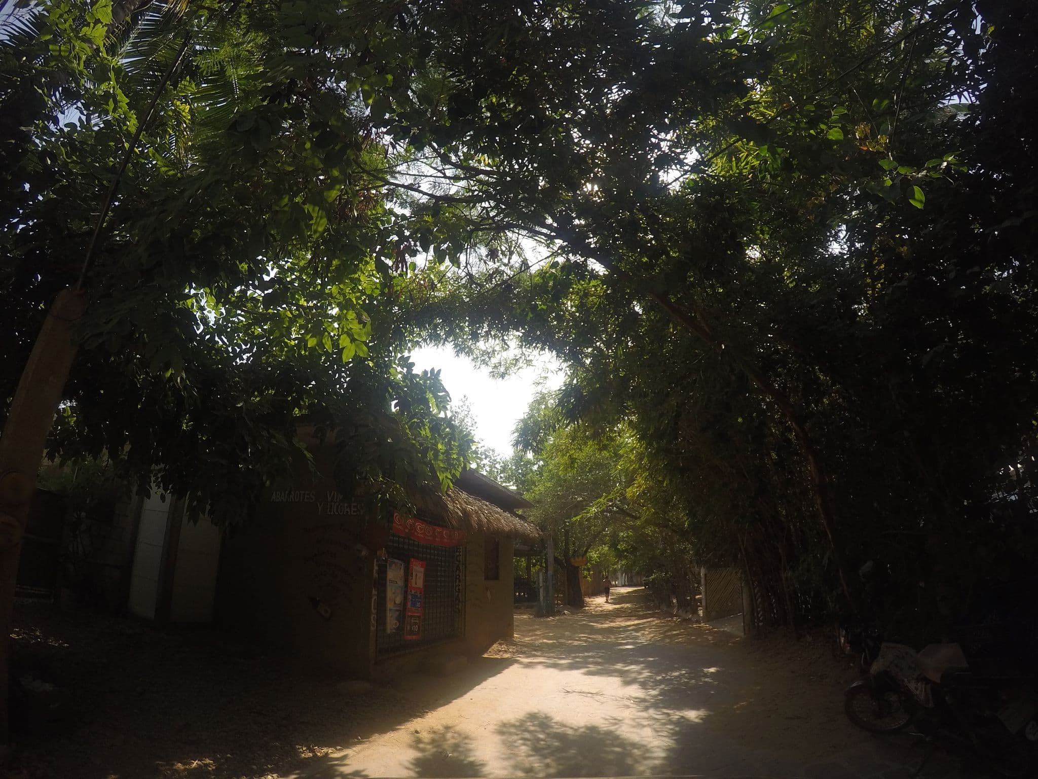 Street view near Casa Ava, Puerto Ángel