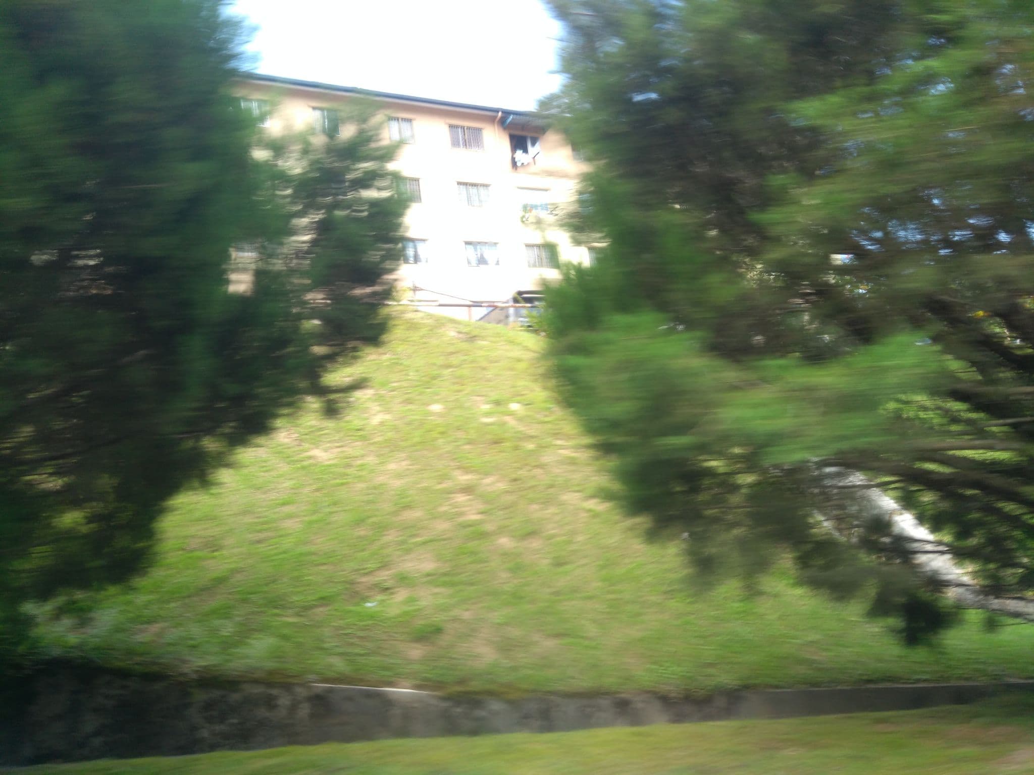 Street view near Calla Lily Boutique Hotel, Tanah Rata — © remonet (CC BY-SA · Mapillary)