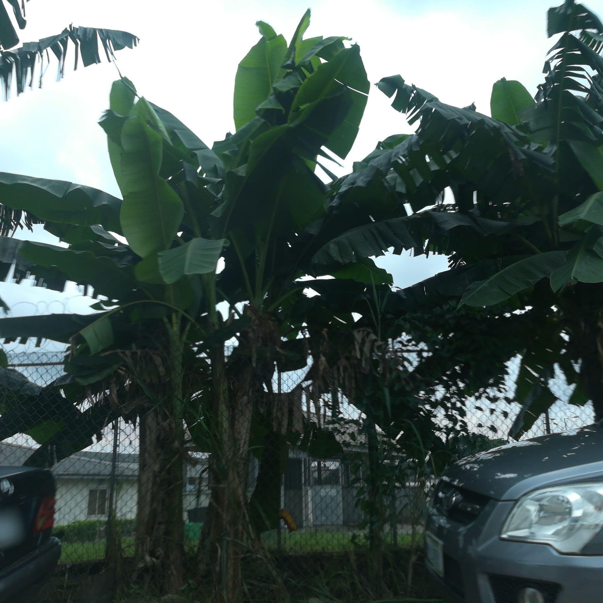Street view near 28 St. Andrew's Street, Port Harcourt