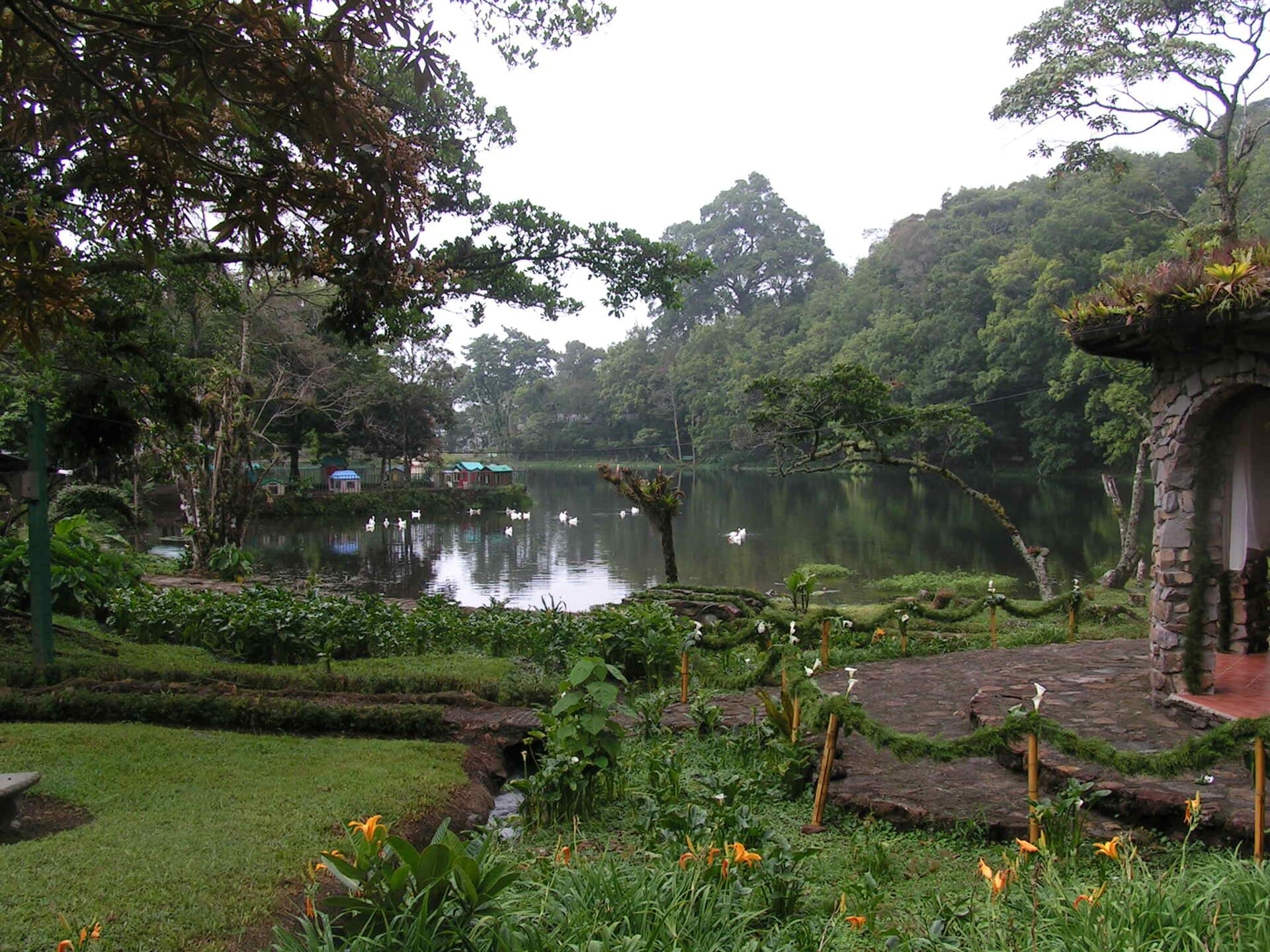 Selva Negra Mountain Resort (via Wikimedia Commons, CC BY 3.0)