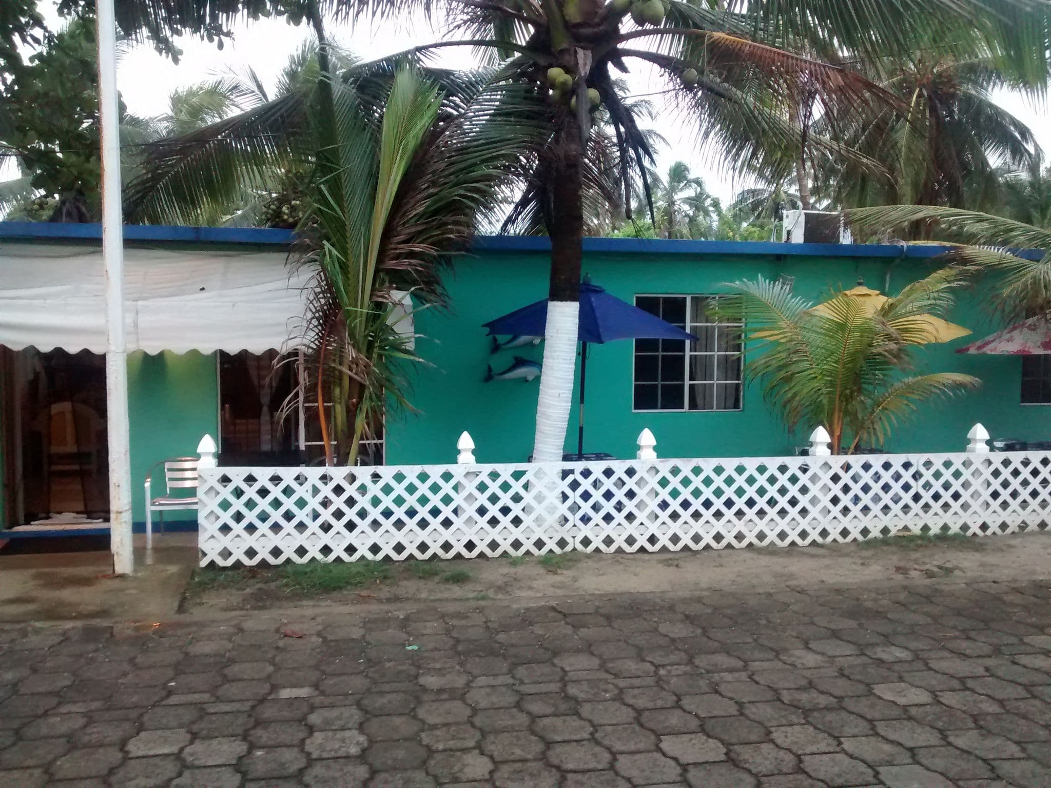 Street view near Big fish guesthouse and cafe, South End — © mgageo (CC BY-SA · Mapillary)