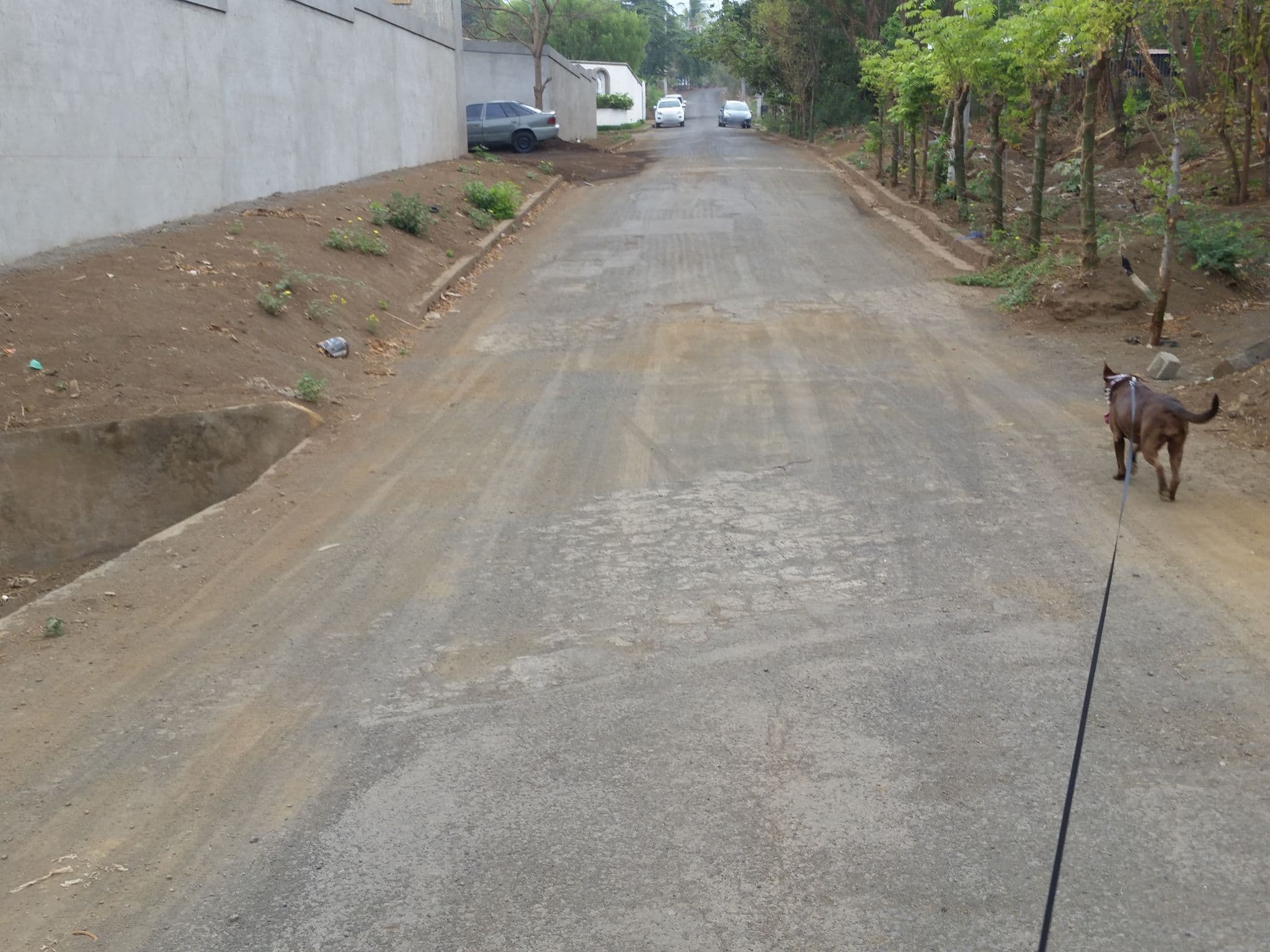 Street view near Bosques de Santo Domingo, Managua — © jaakkoh (CC BY-SA · Mapillary)