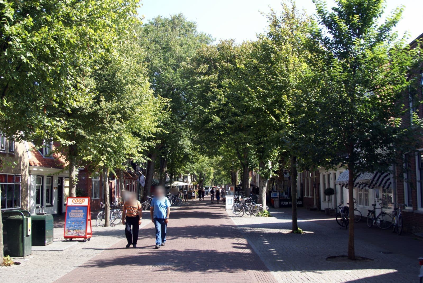 Street view near Vlierus, Oost-Vlieland