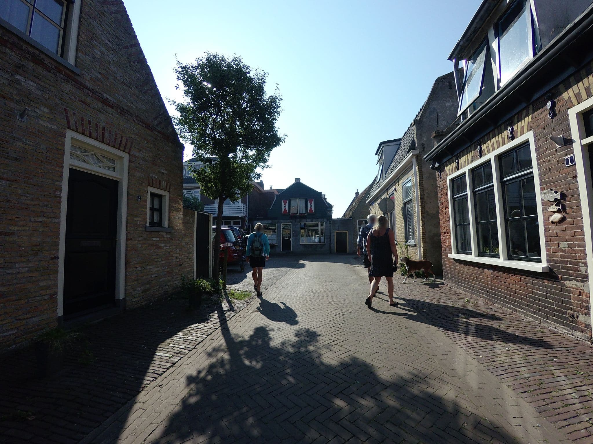 Street view near Oepkes, West-Terschelling