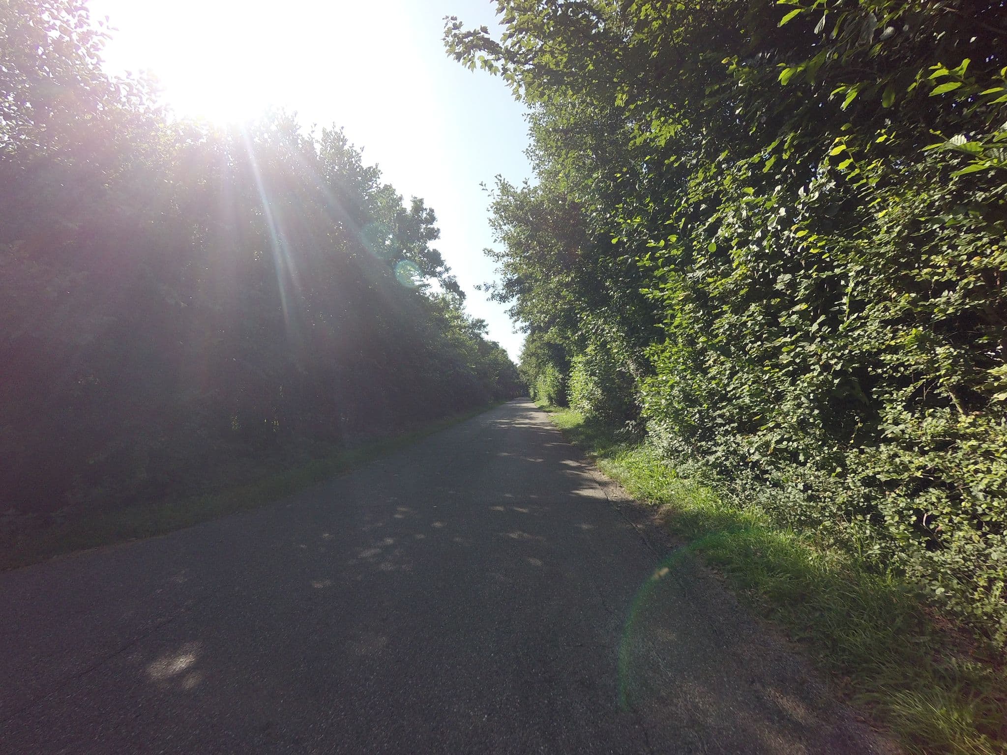 Street view near Genista, West-Terschelling