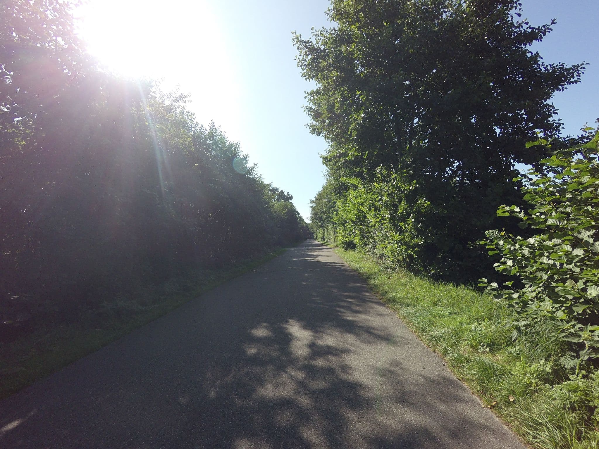 Street view near De Wieuwk, West-Terschelling