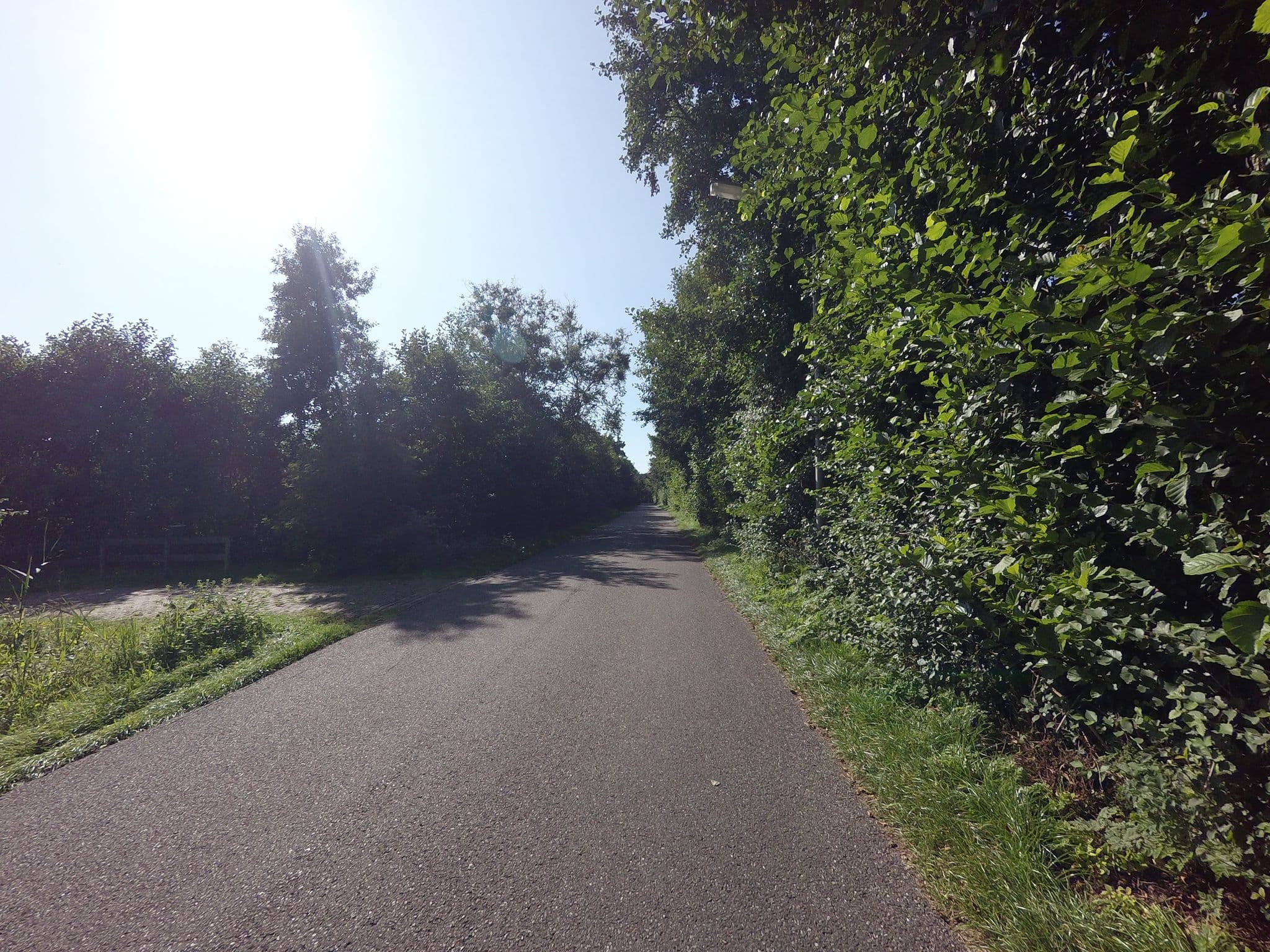 Street view near De Moerbei, West-Terschelling