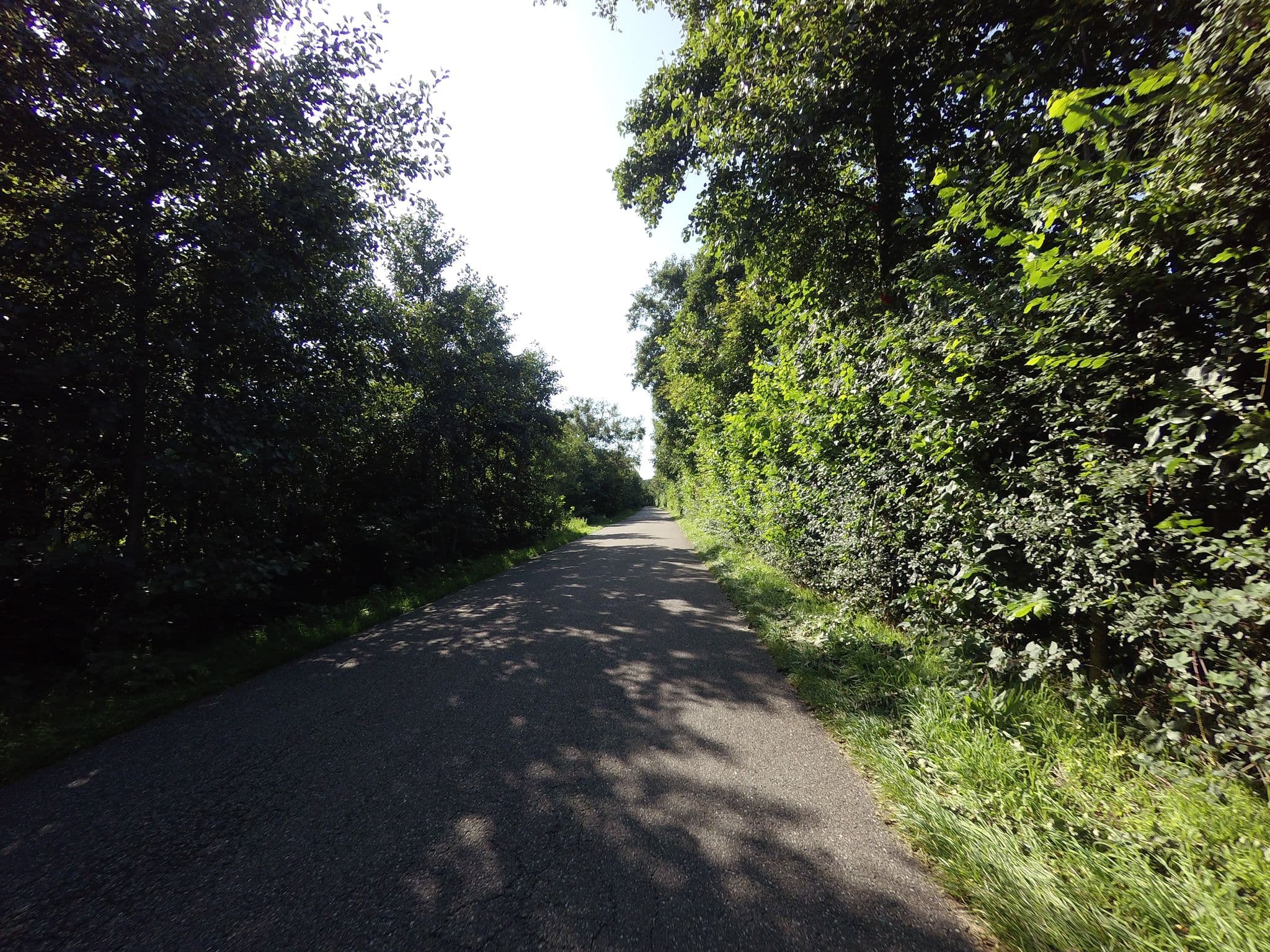 Street view near Myosotis, West-Terschelling
