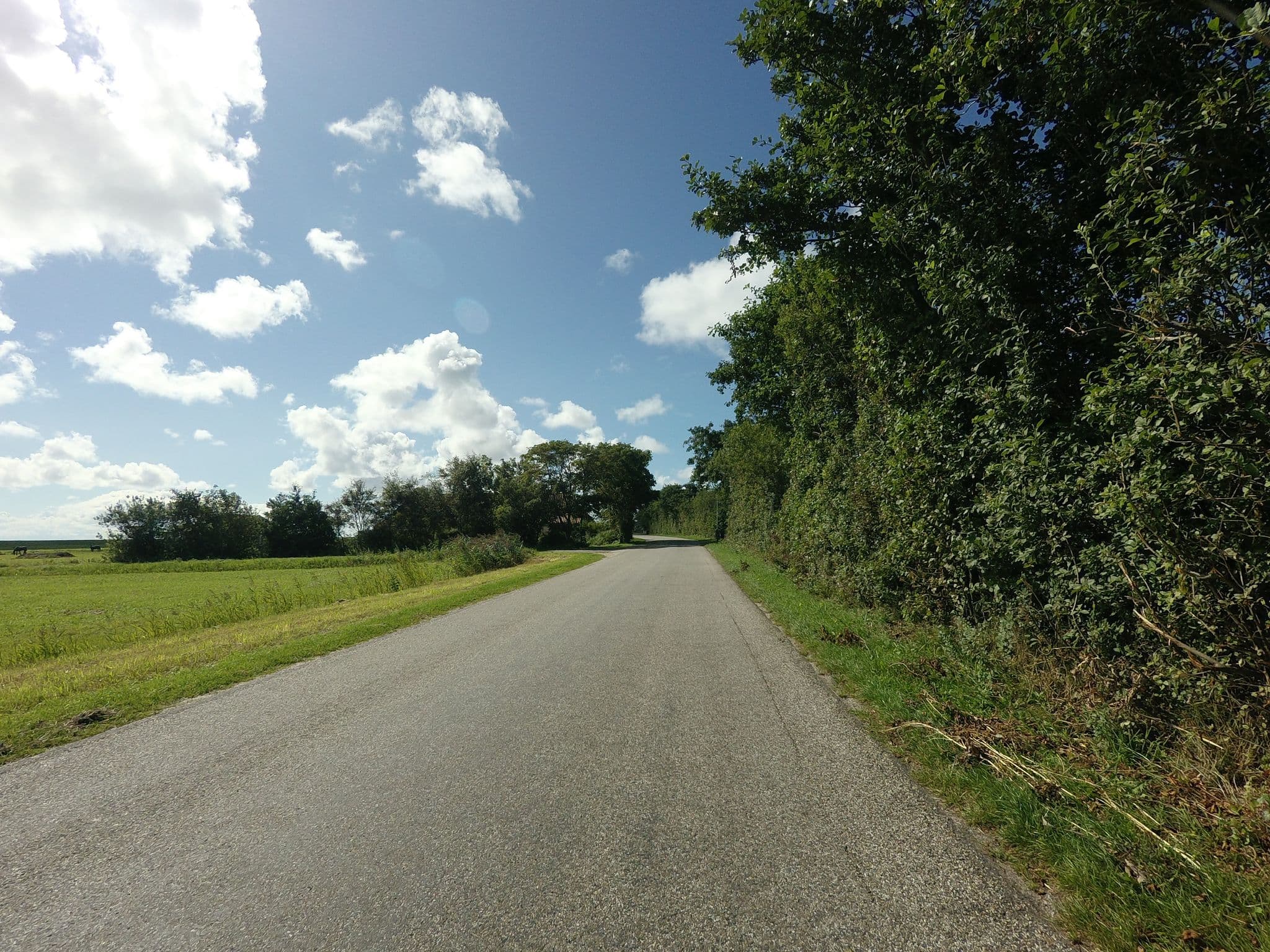 Street view near Ouwe Tun, West-Terschelling