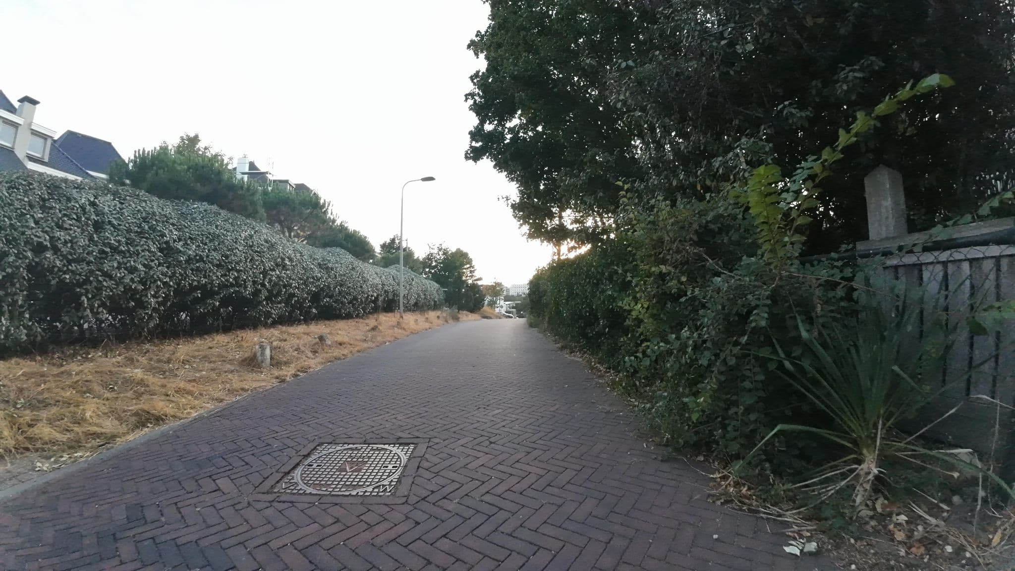 Street view near Benedict Noordwijk, Noordwijk-Binnen — © teddy73 (CC BY-SA · Mapillary)