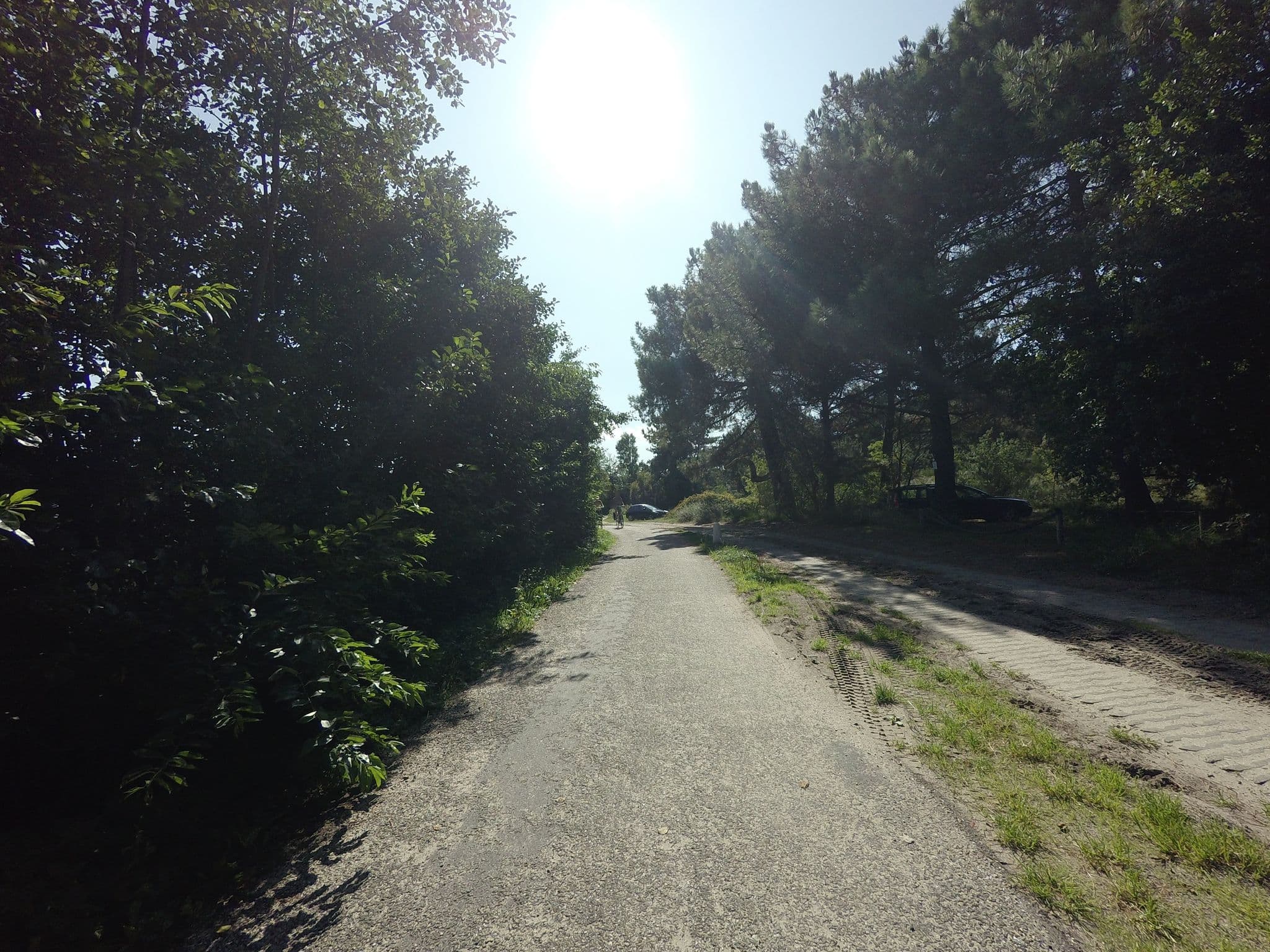 Street view near Dennedune, West-Terschelling
