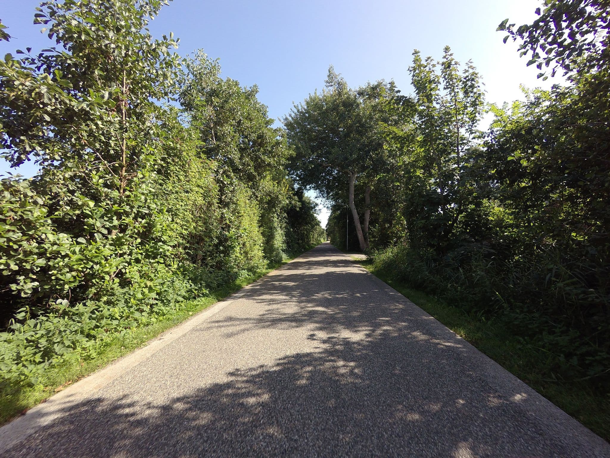Street view near High Chapperal, West-Terschelling