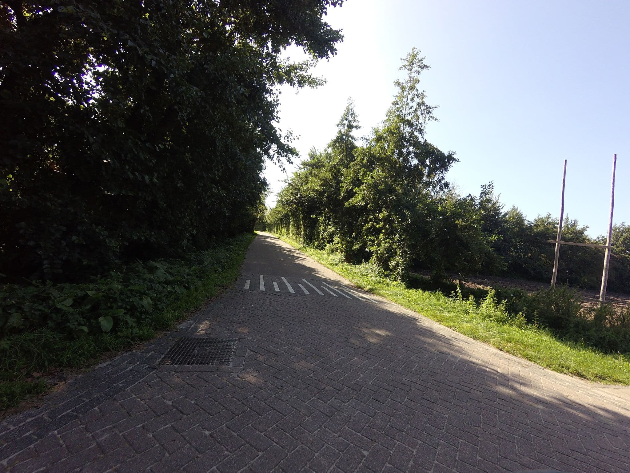 Street view near De Keep, West-Terschelling