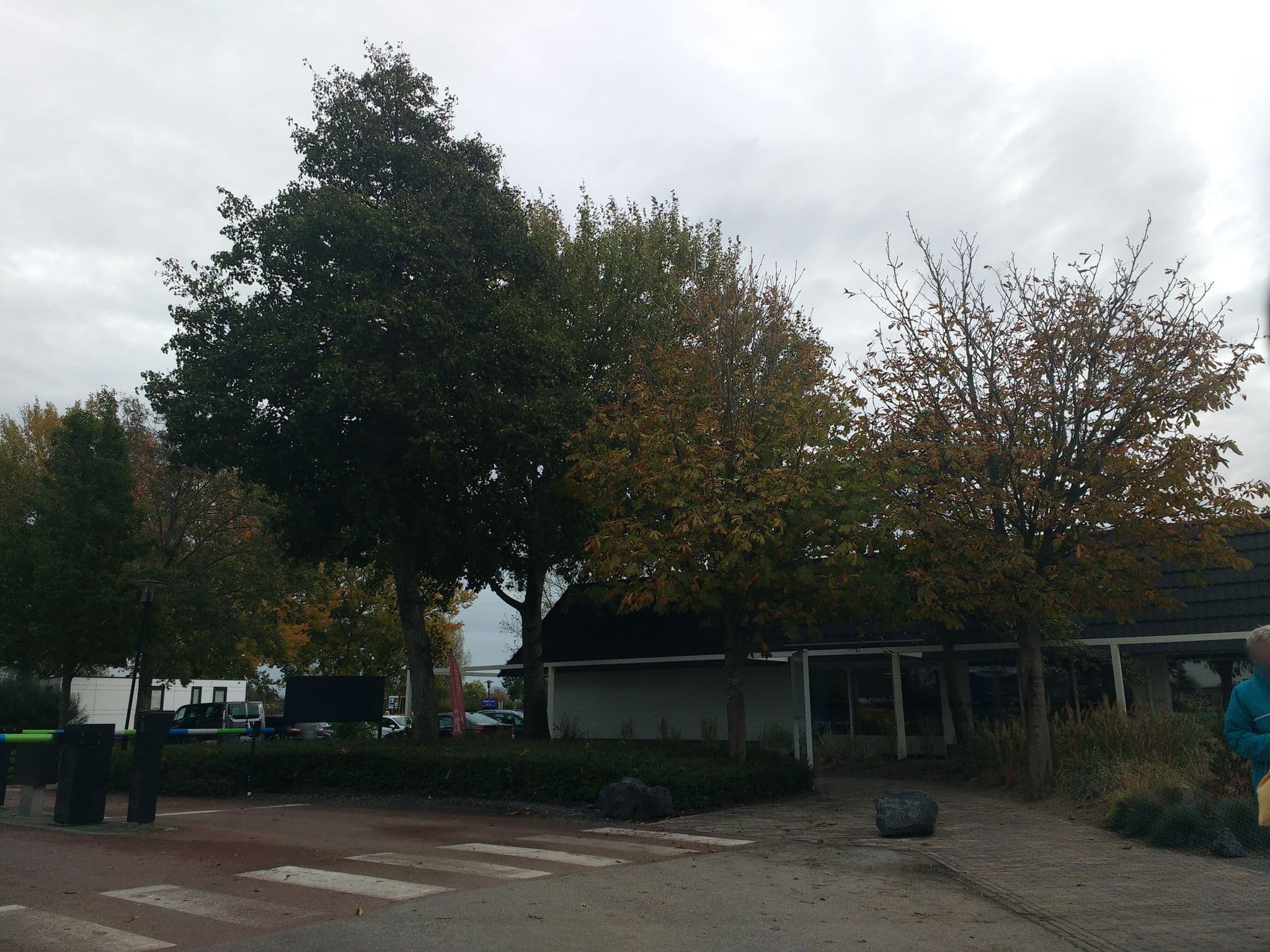 Street view near Droomparken Schoneveld Lobby Check In, Breskens