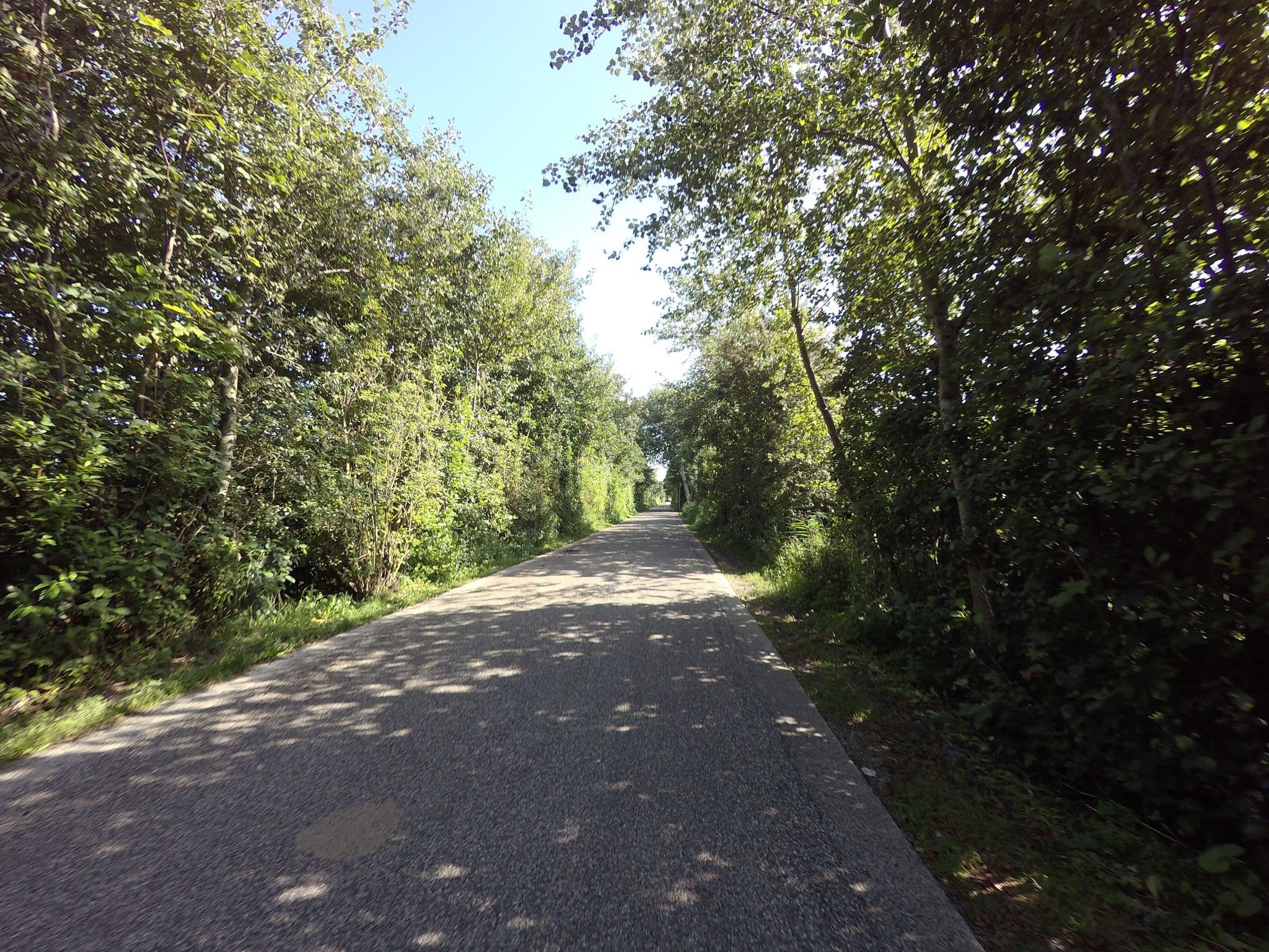 Street view near Villa Buitenbosch Terschelling, West-Terschelling