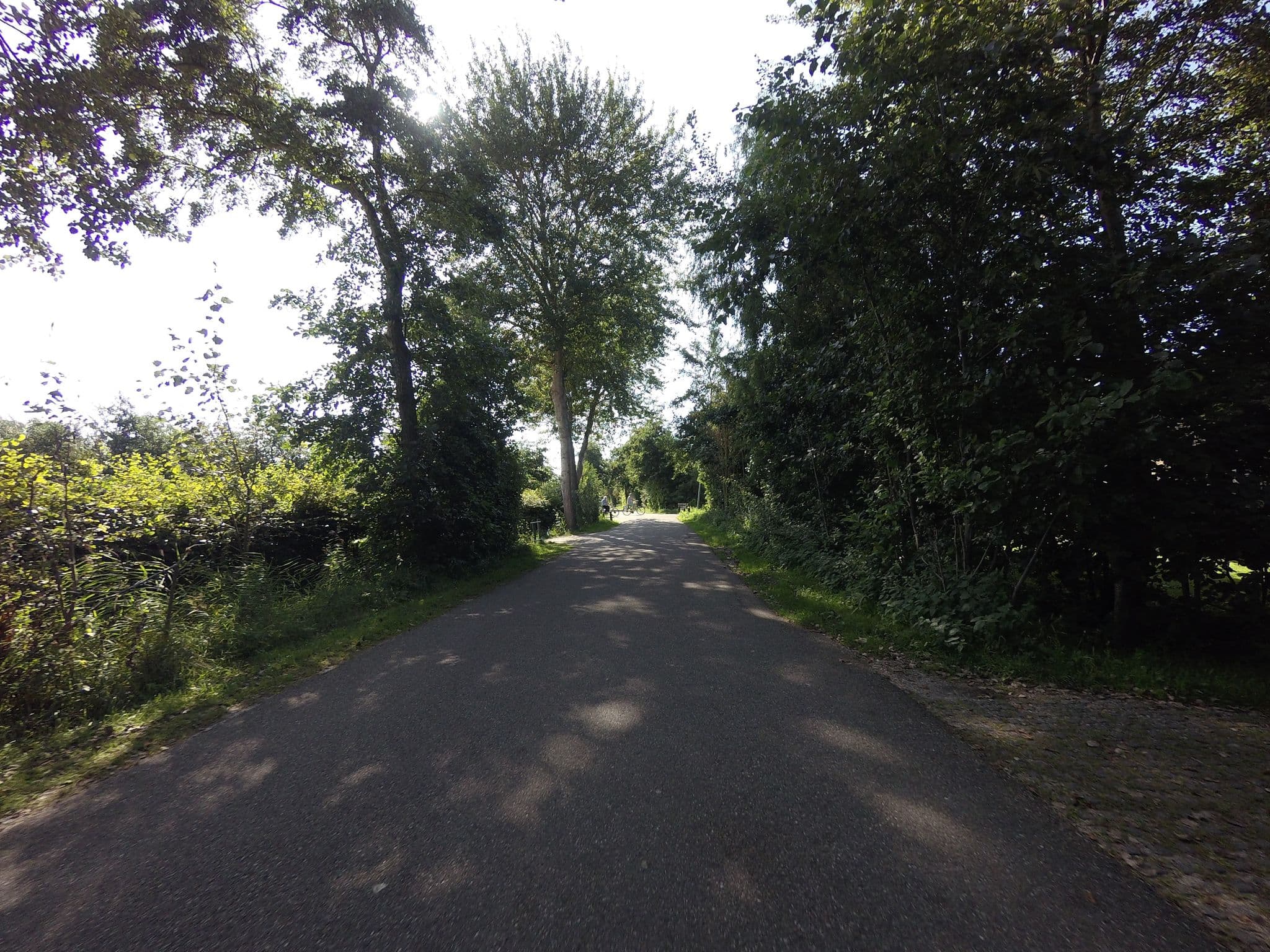 Street view near Camping Vis, West-Terschelling