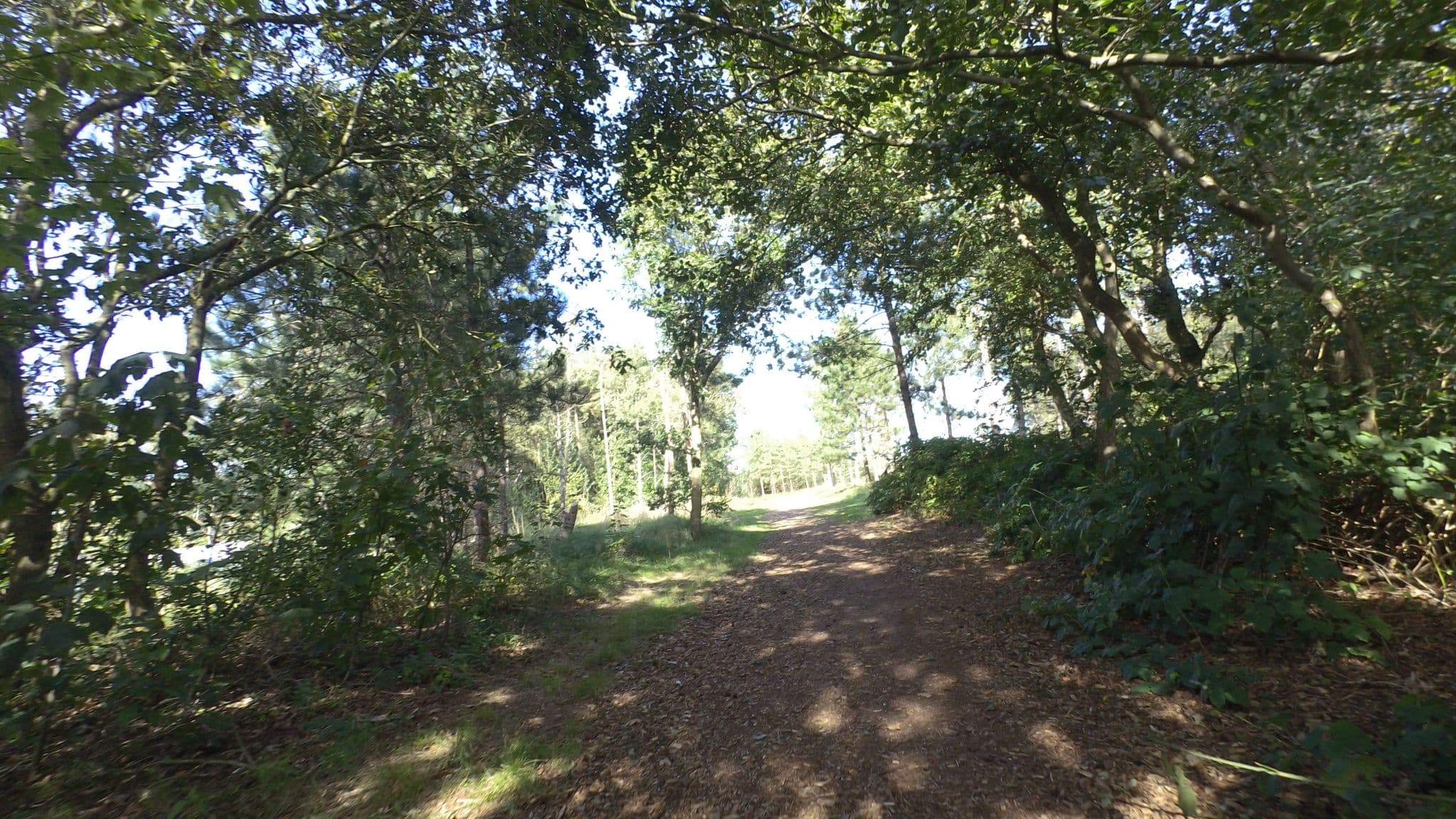 Street view near Nobel Volente, Hollum