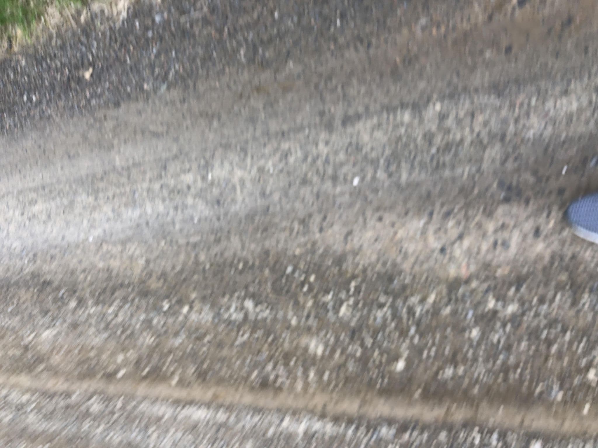 Street view near Holmvik Sjøhus, Myre — © laye (CC BY-SA · Mapillary)