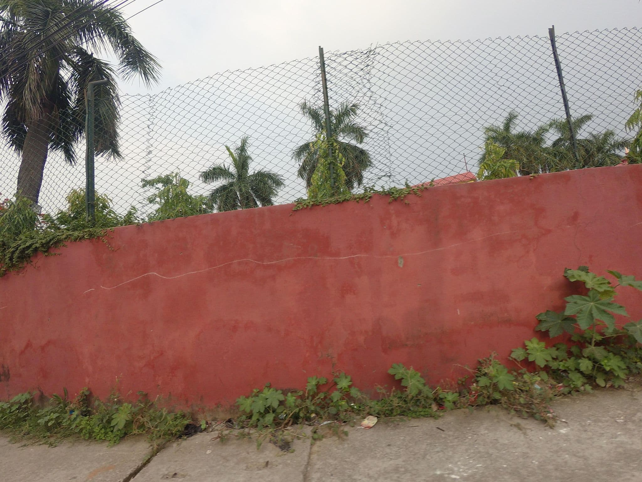 Street view near Nirvana Luxury International Pvt.Ltd., Siddharthanagar — © gauravparajuli09 (CC BY-SA · Mapillary)