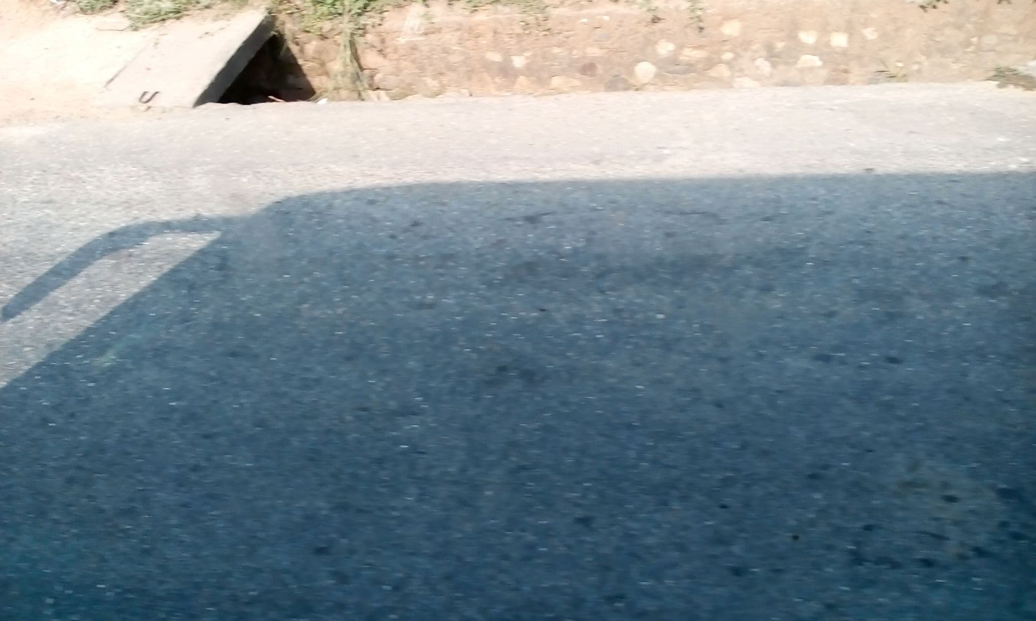 Street view near Peace and Heaven Guesthouse and Restaurant, Bharatpur