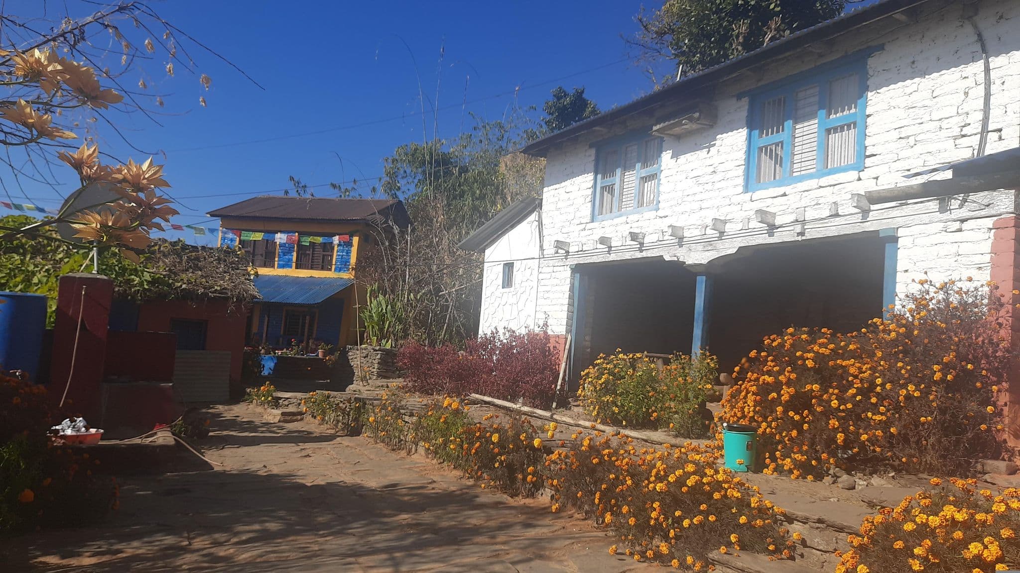 Street view near Sirubari Homestay, House No. 2, Kusma — © ShresthaShristi (CC BY-SA · Mapillary)