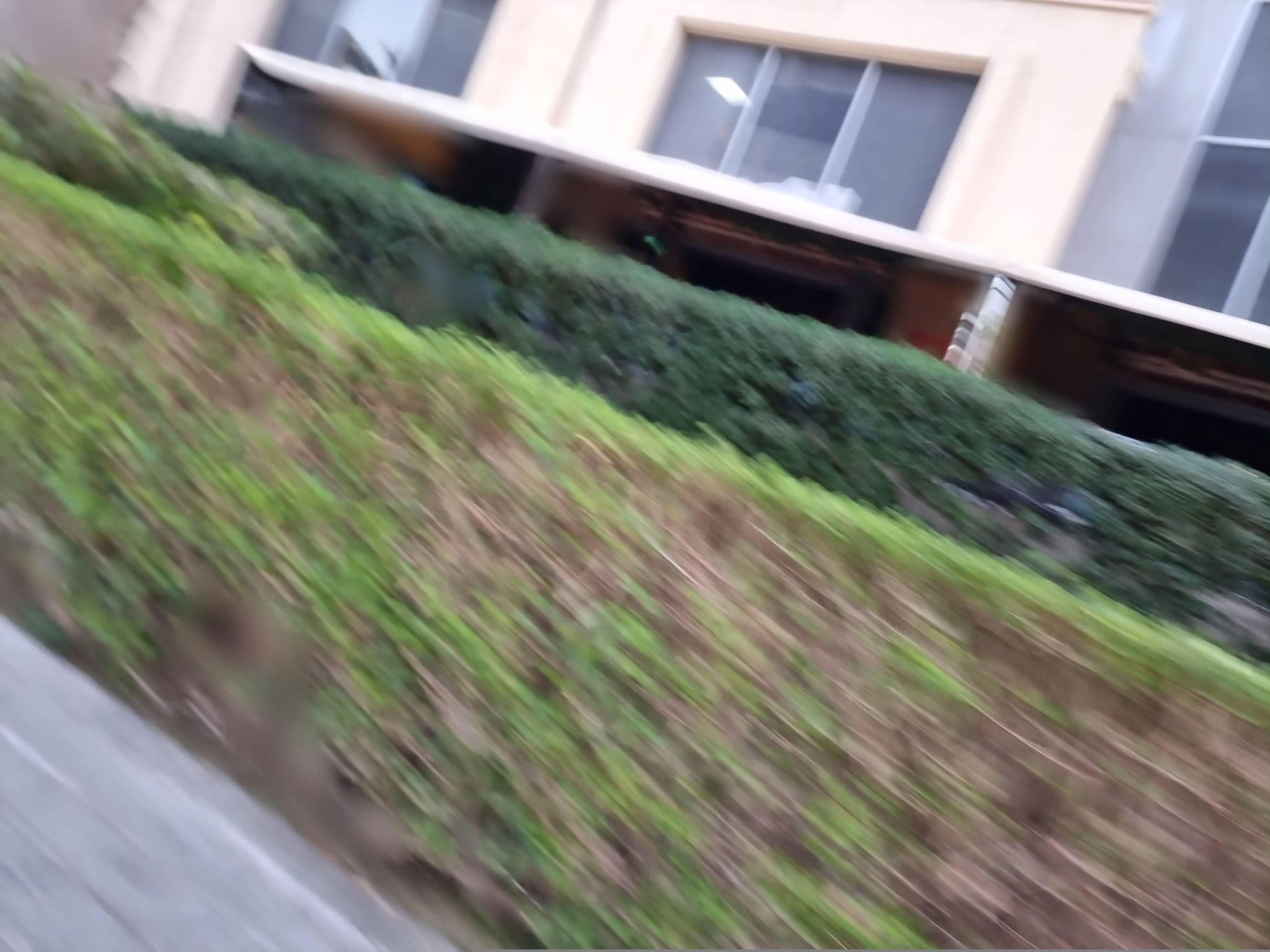 Street view near The Address Dubai Marina, Dubai Marina — © mapfool (CC BY-SA · Mapillary)