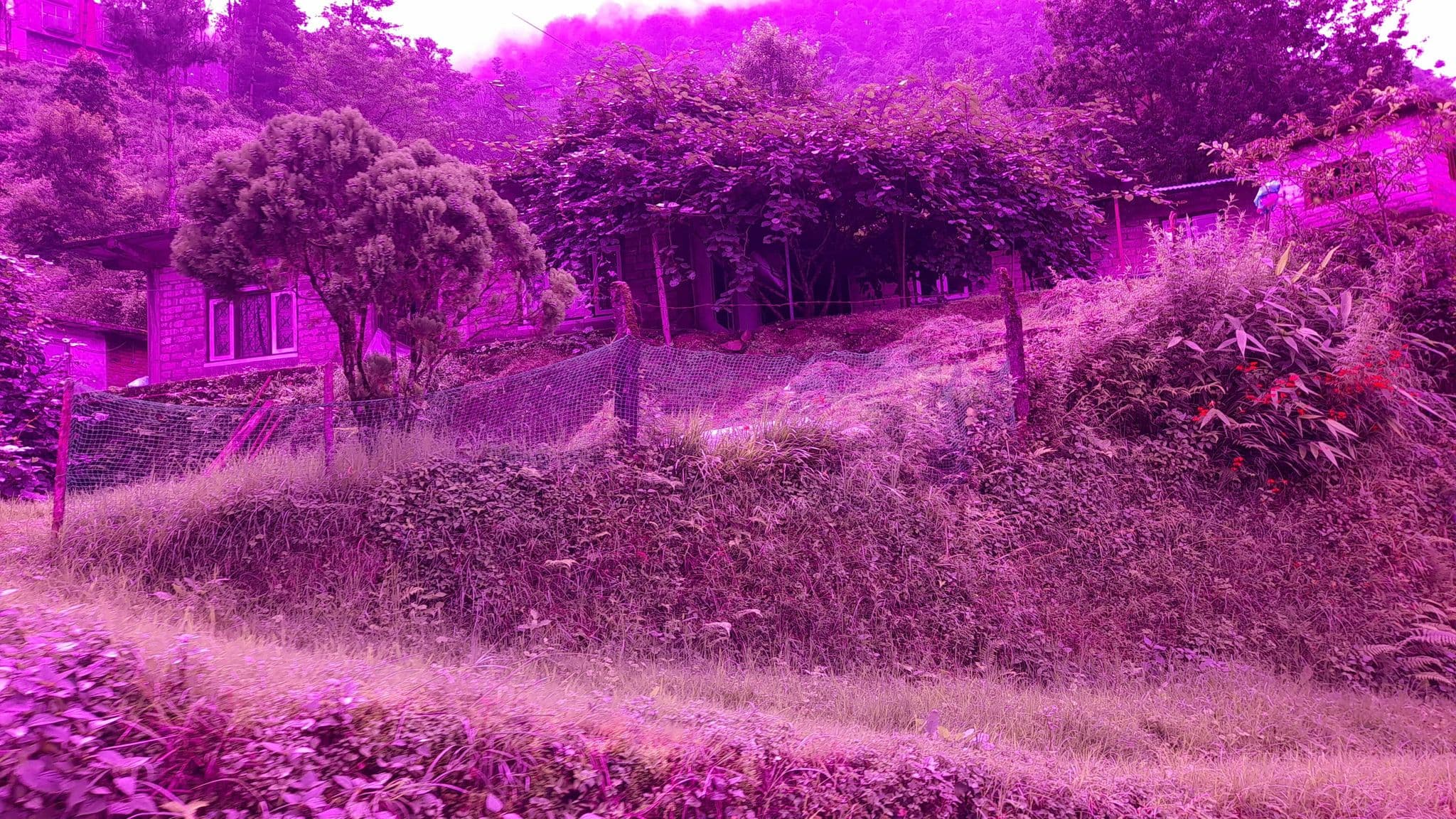 Street view near Kat Resort Pvt. Ltd, Chapali̇̄ Bhaḍrakāli̇̄