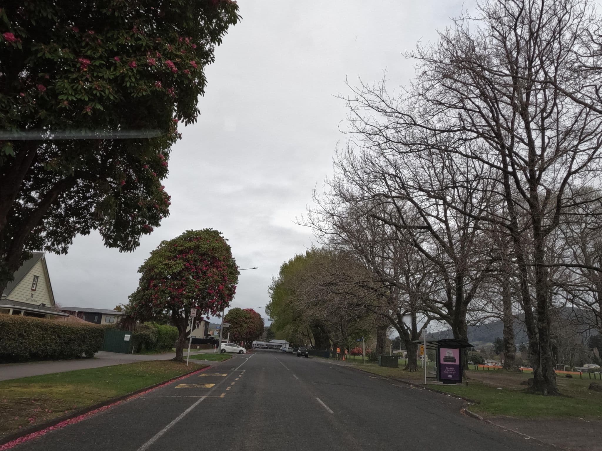 Street view near Robertson House B&B, Rotorua — © rsnaru (CC BY-SA · Mapillary)