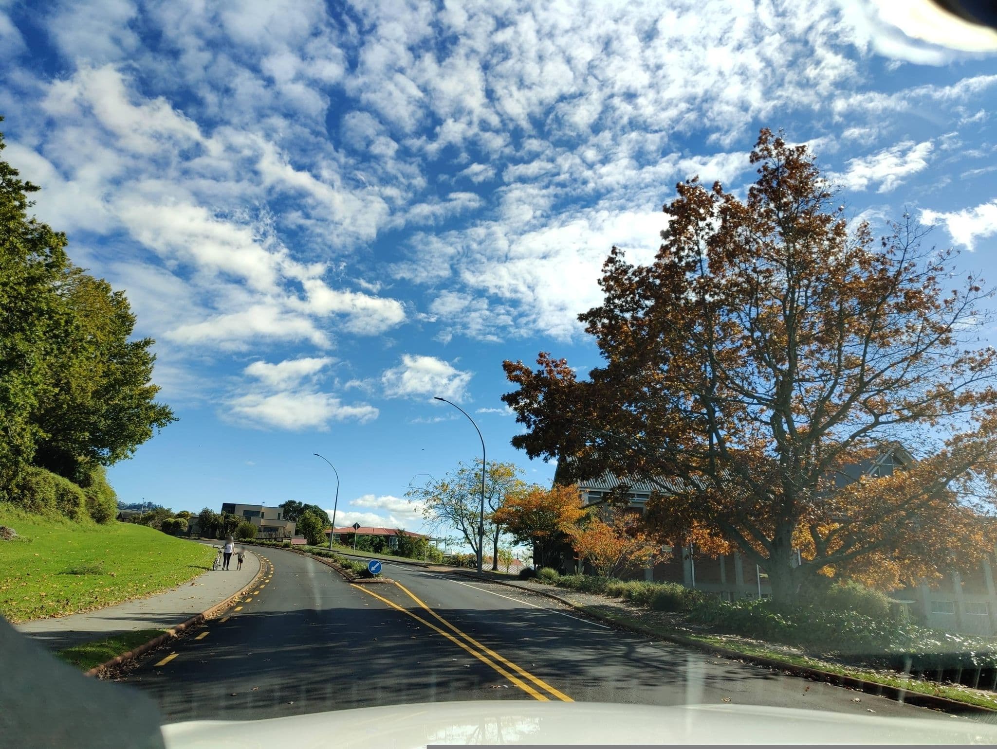 Street view near Lakefront Motorhome Parking Area, Rotorua — © elphix (CC BY-SA · Mapillary)