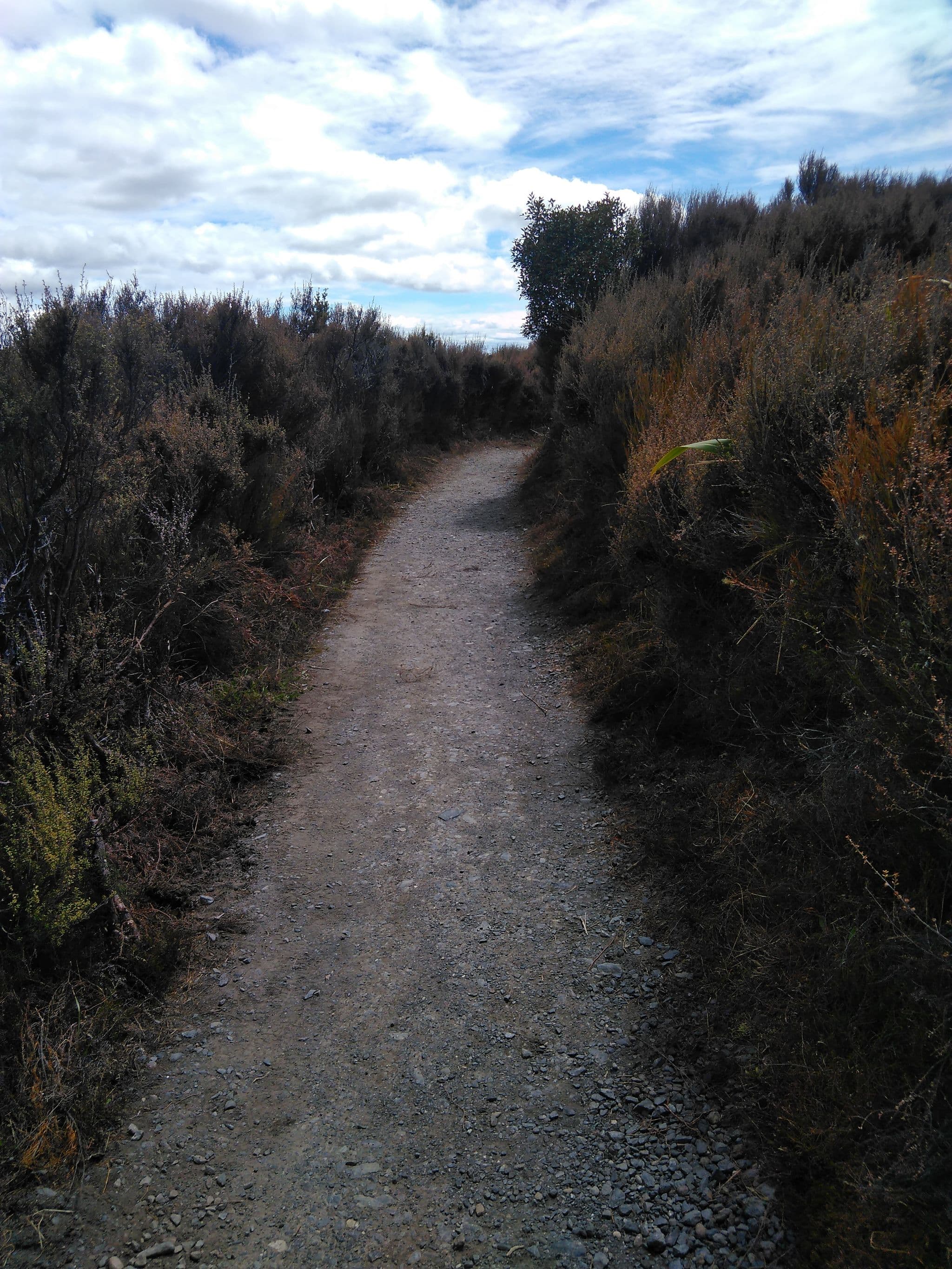 Street view near Skotel, Ohakune — © susisuhm (CC BY-SA · Mapillary)