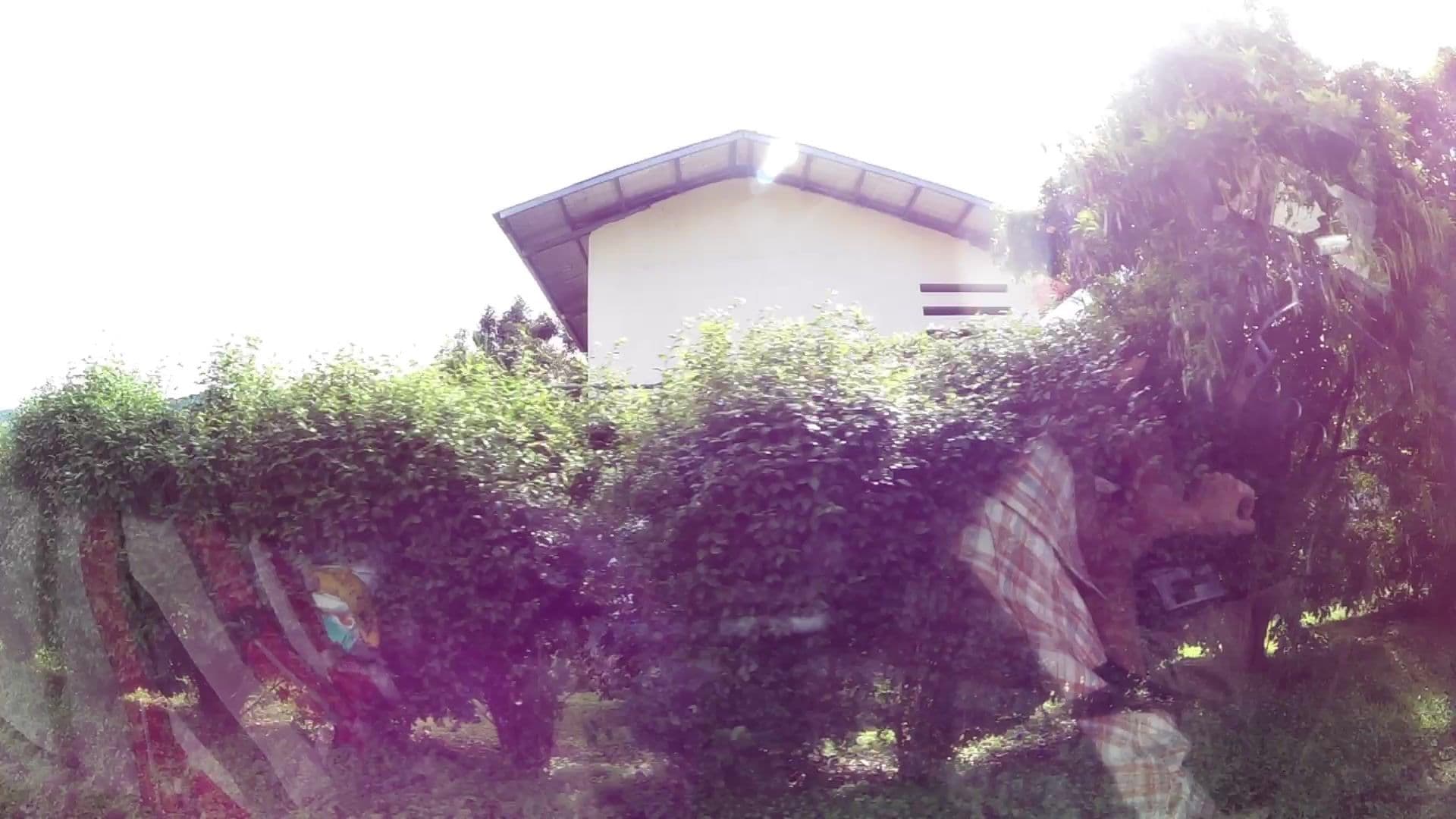 Street view near Hostal Gaia, Bajo Boquete — © kaartcam (CC BY-SA · Mapillary)