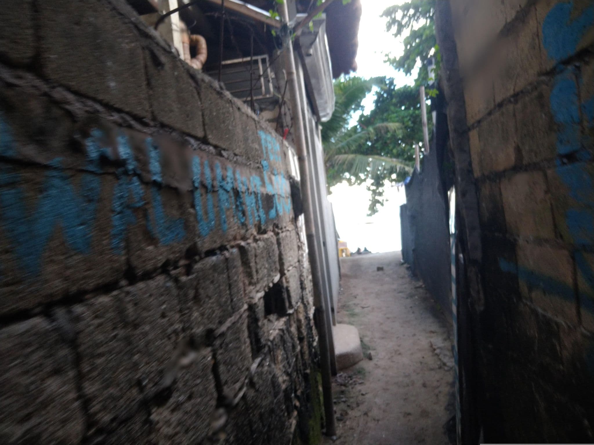 Street view near Panglao Birdwatchers Beachfront Hotel, Tawala