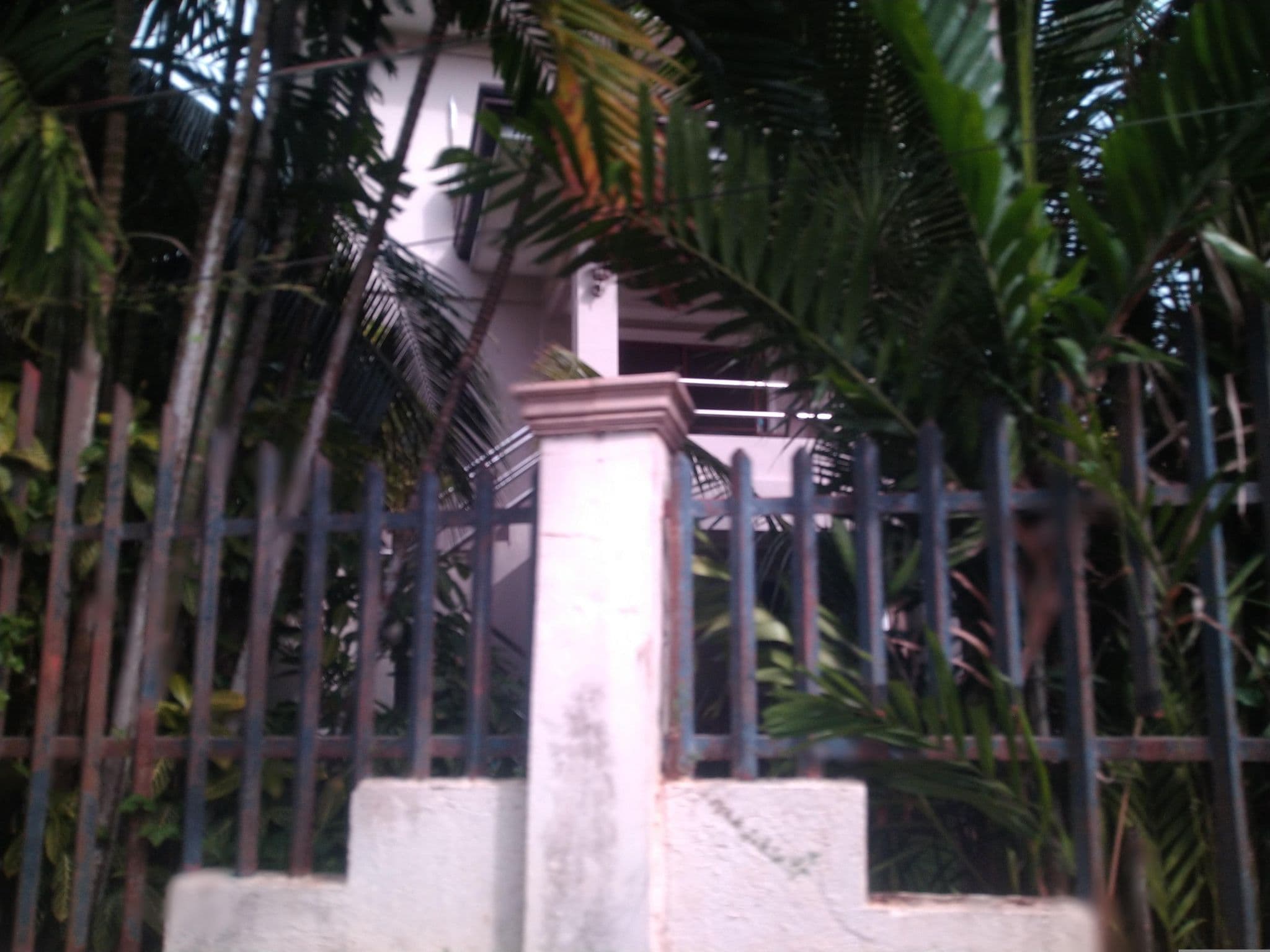 Street view near Golden Palm Resort, Tawala — © Vermut (CC BY-SA · Mapillary)