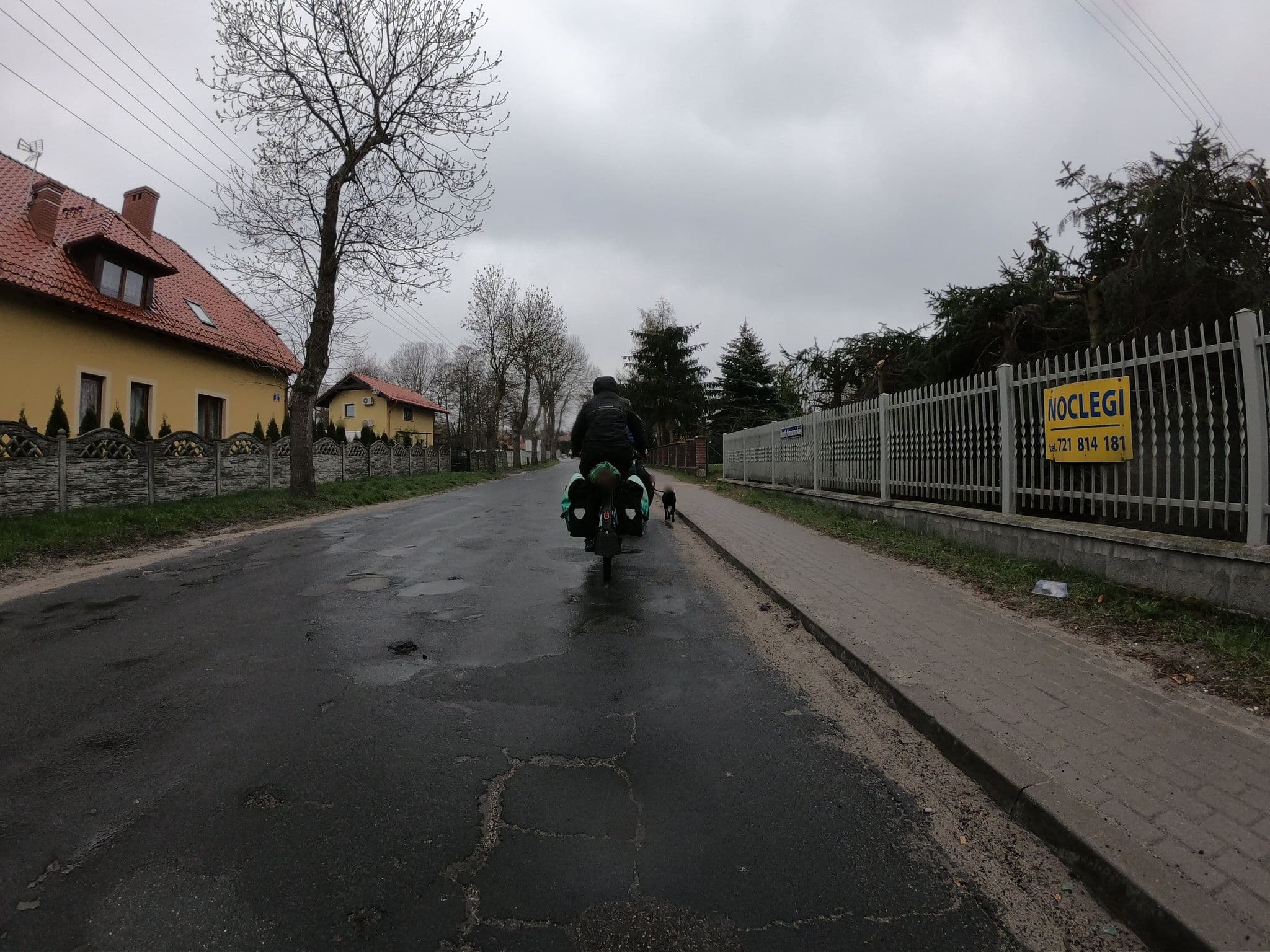 Street view near Noclegi Zielona Gora u Moni, Zielona Góra — © masterofnoroad (CC BY-SA · Mapillary)