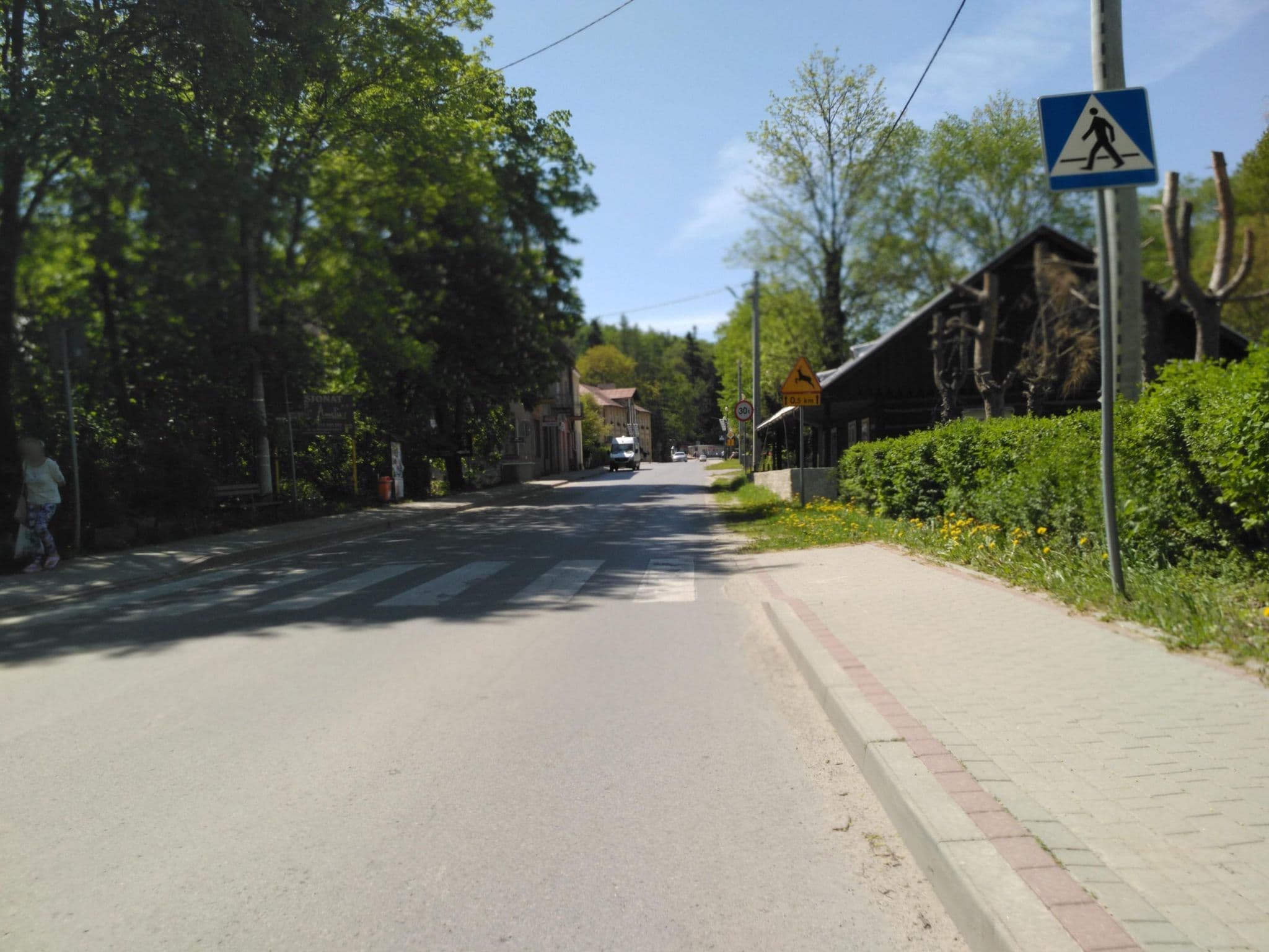 Street view near Willa Krakowianka, Iwonicz-Zdrój — © czecko (CC BY-SA · Mapillary)