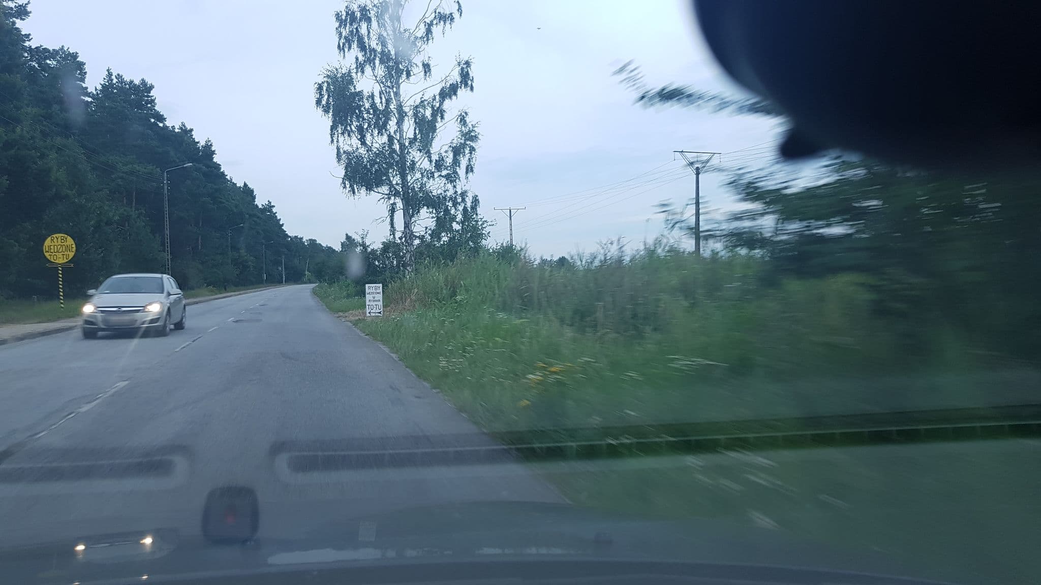 Street view near Pokoje Gościnne u Iwony, Sztutowo — © kmajcher (CC BY-SA · Mapillary)